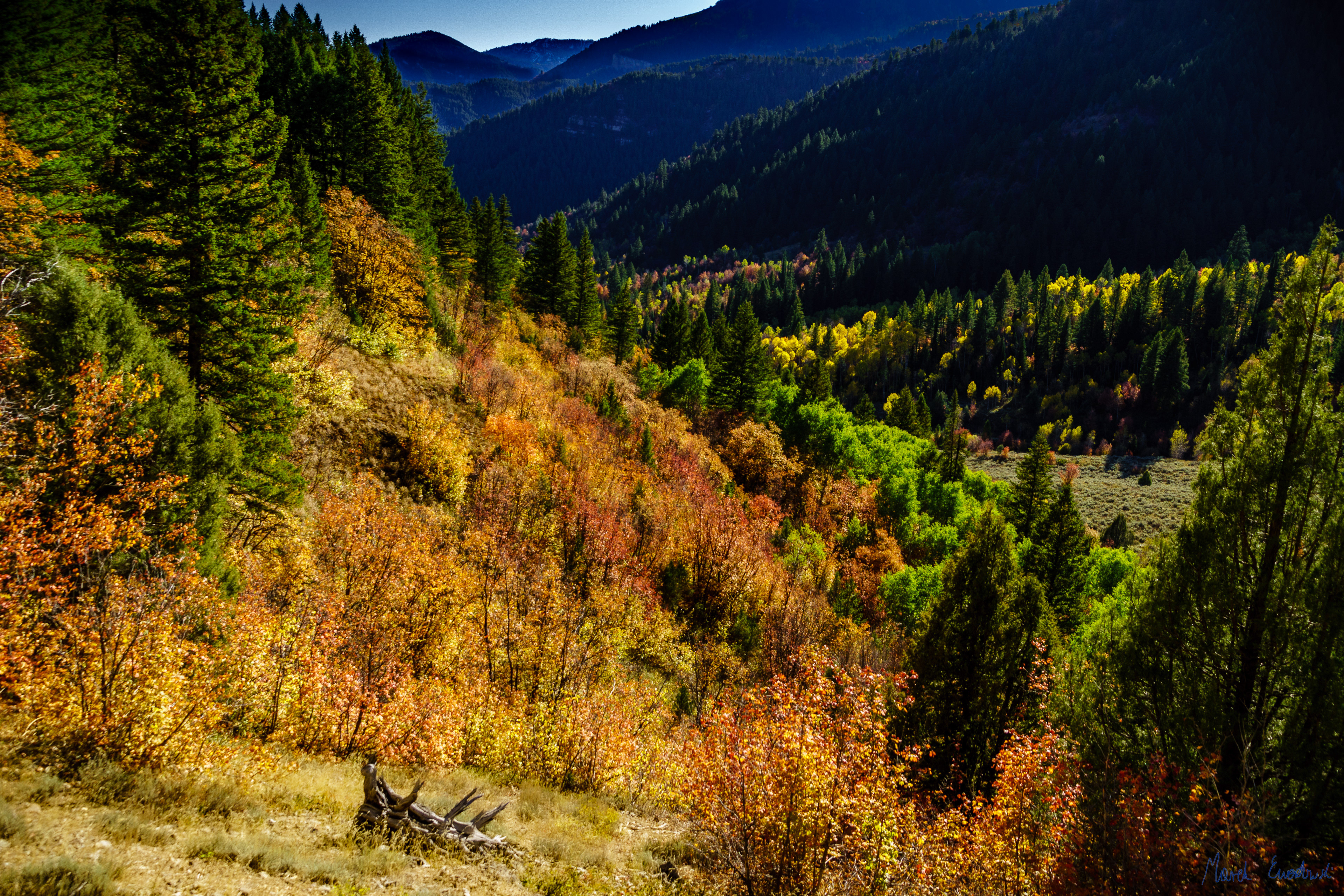 Juniper Trail, Logan Canyon, Utah