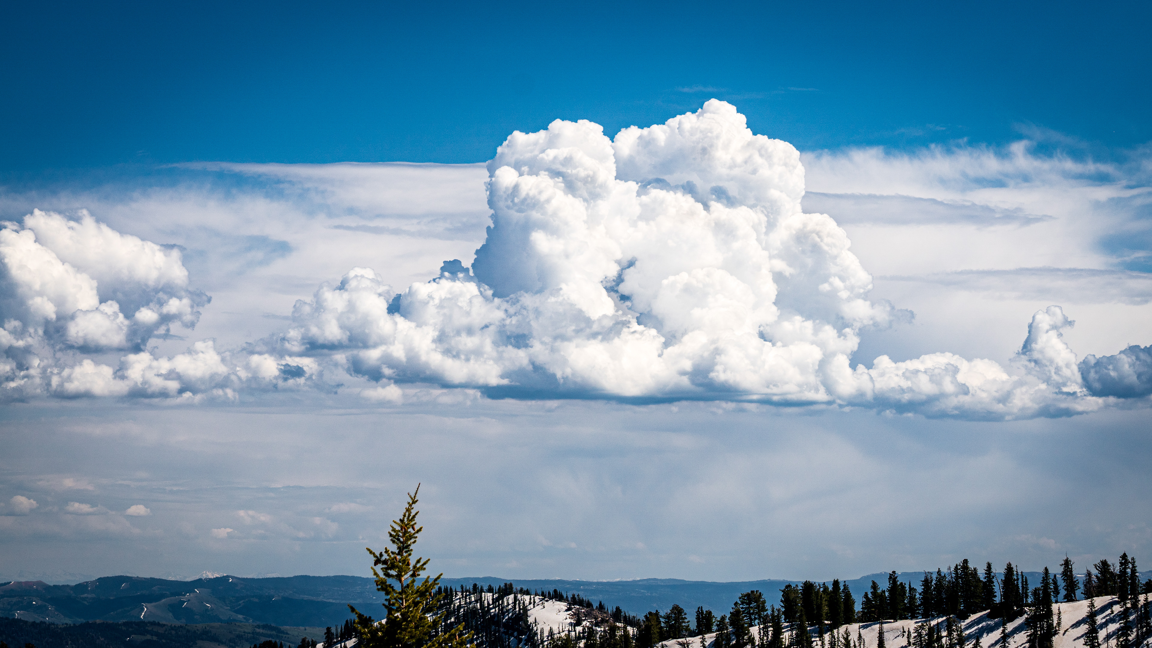 Steam Mill Trail, Bear River Range, Utah