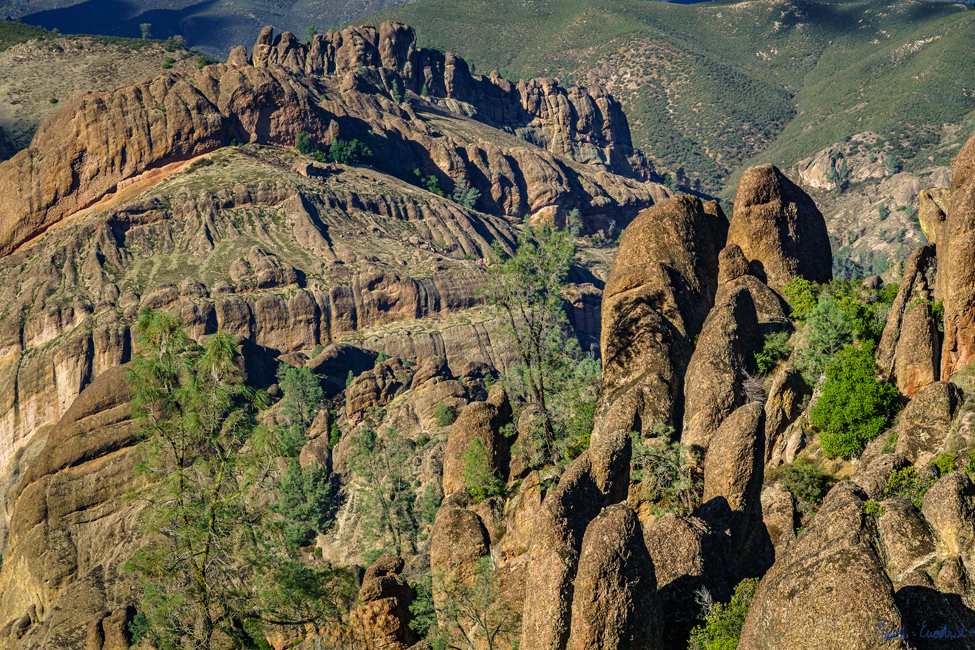 Pinnacles National Park, California