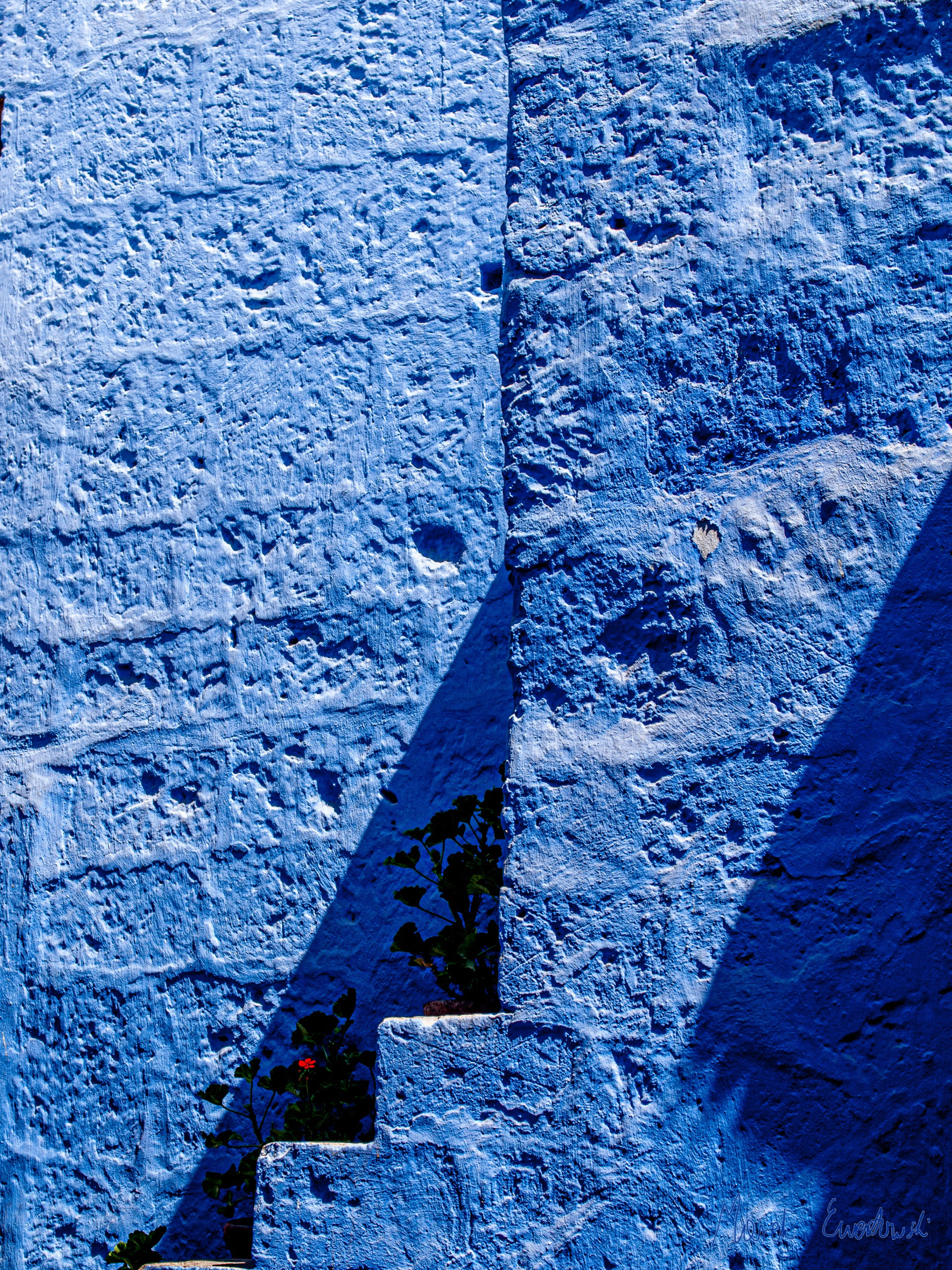 Hiding in the shadow