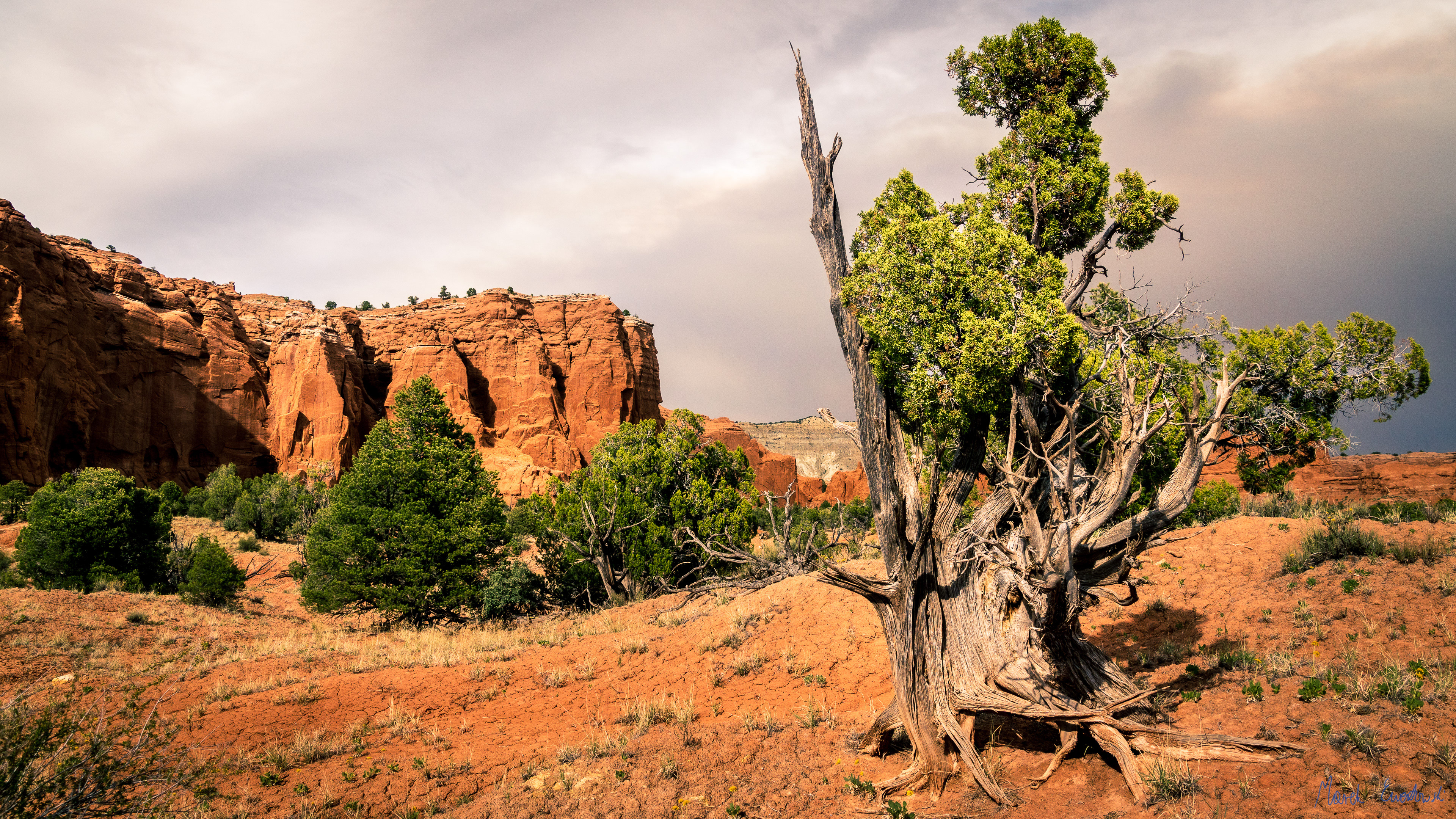 Kodachrome Basin State Park, Utah