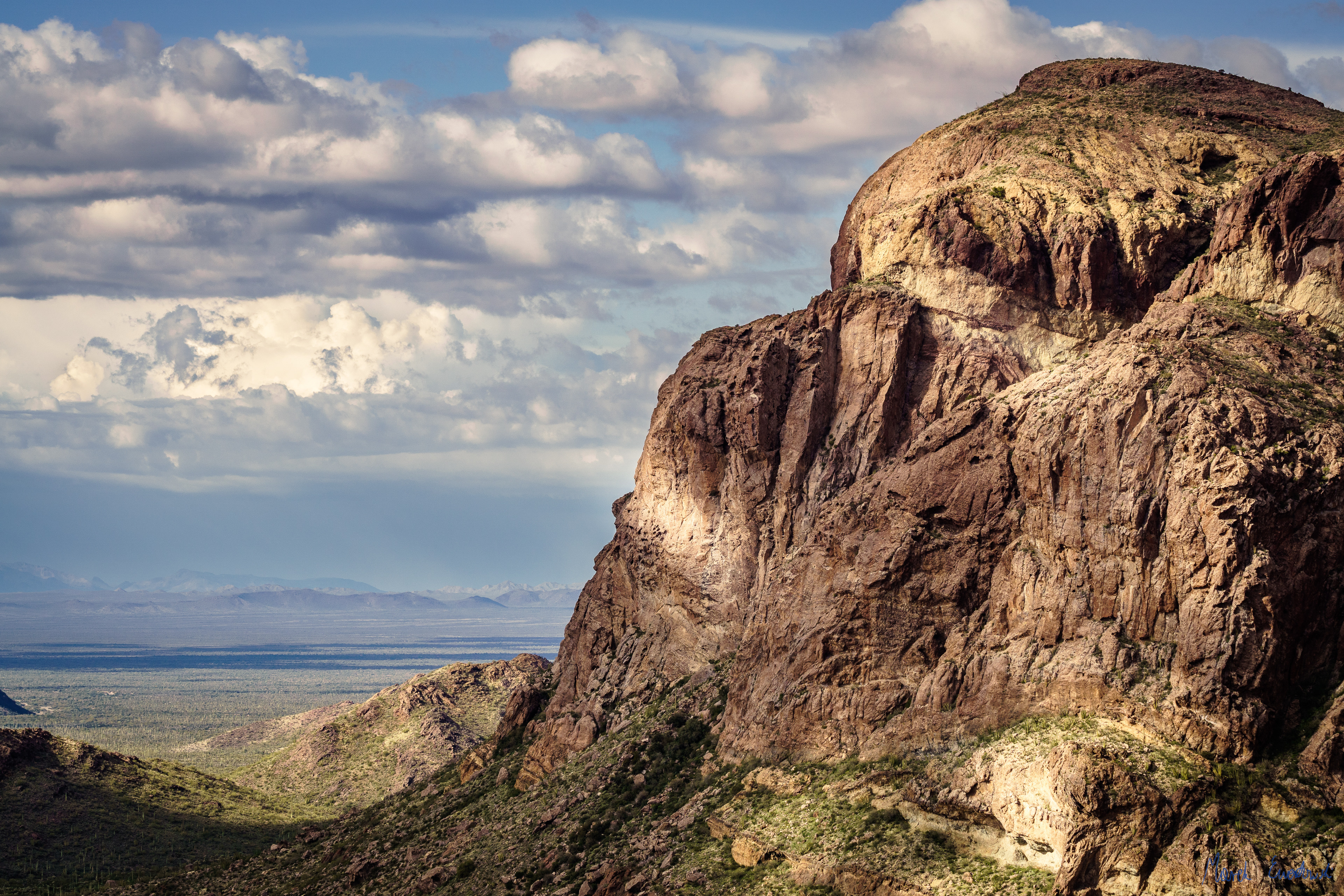 Organ Pipe Cactus National Monument, Arizona