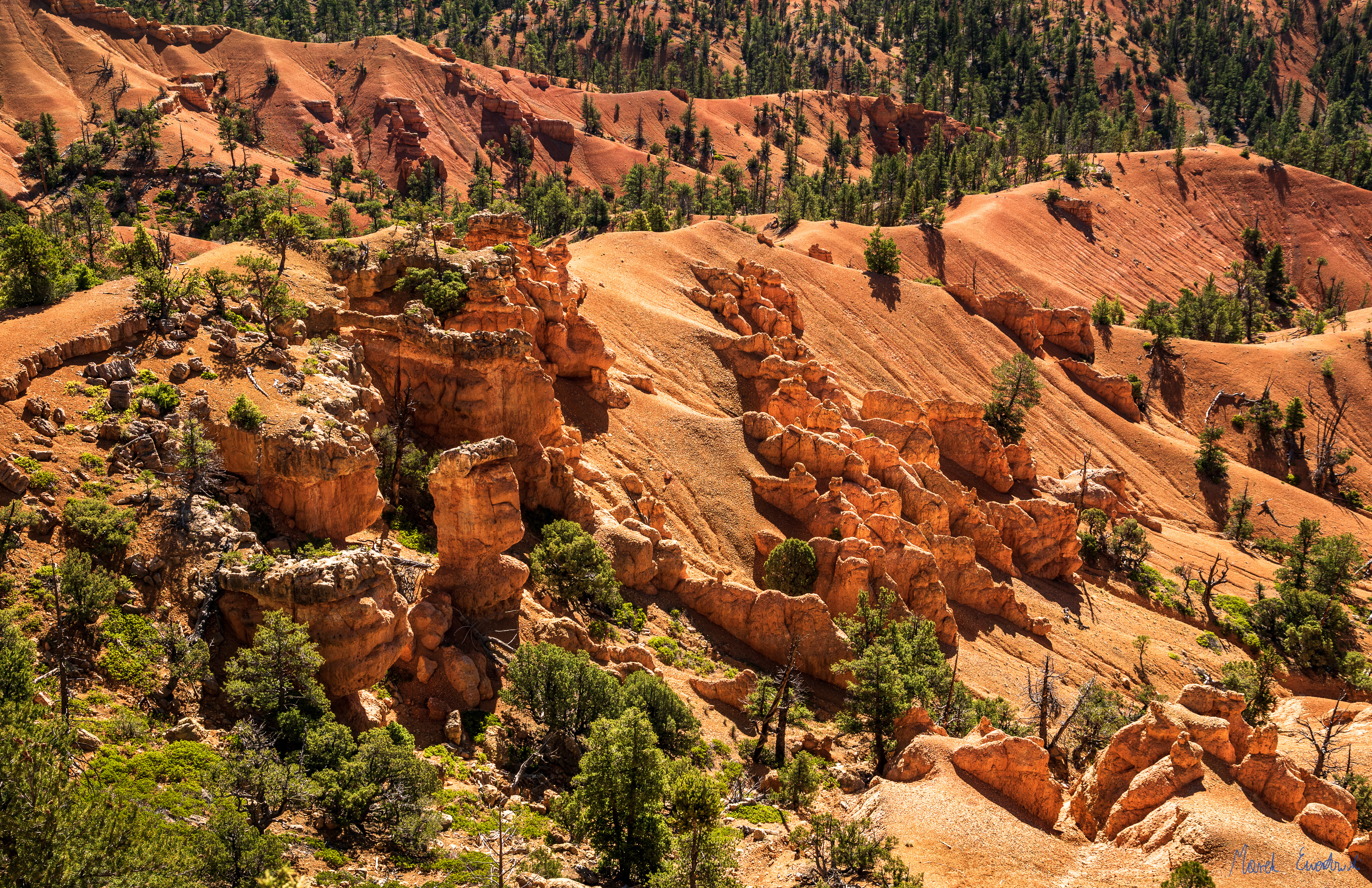 Red Canyon, Dixie National Forest, Utah