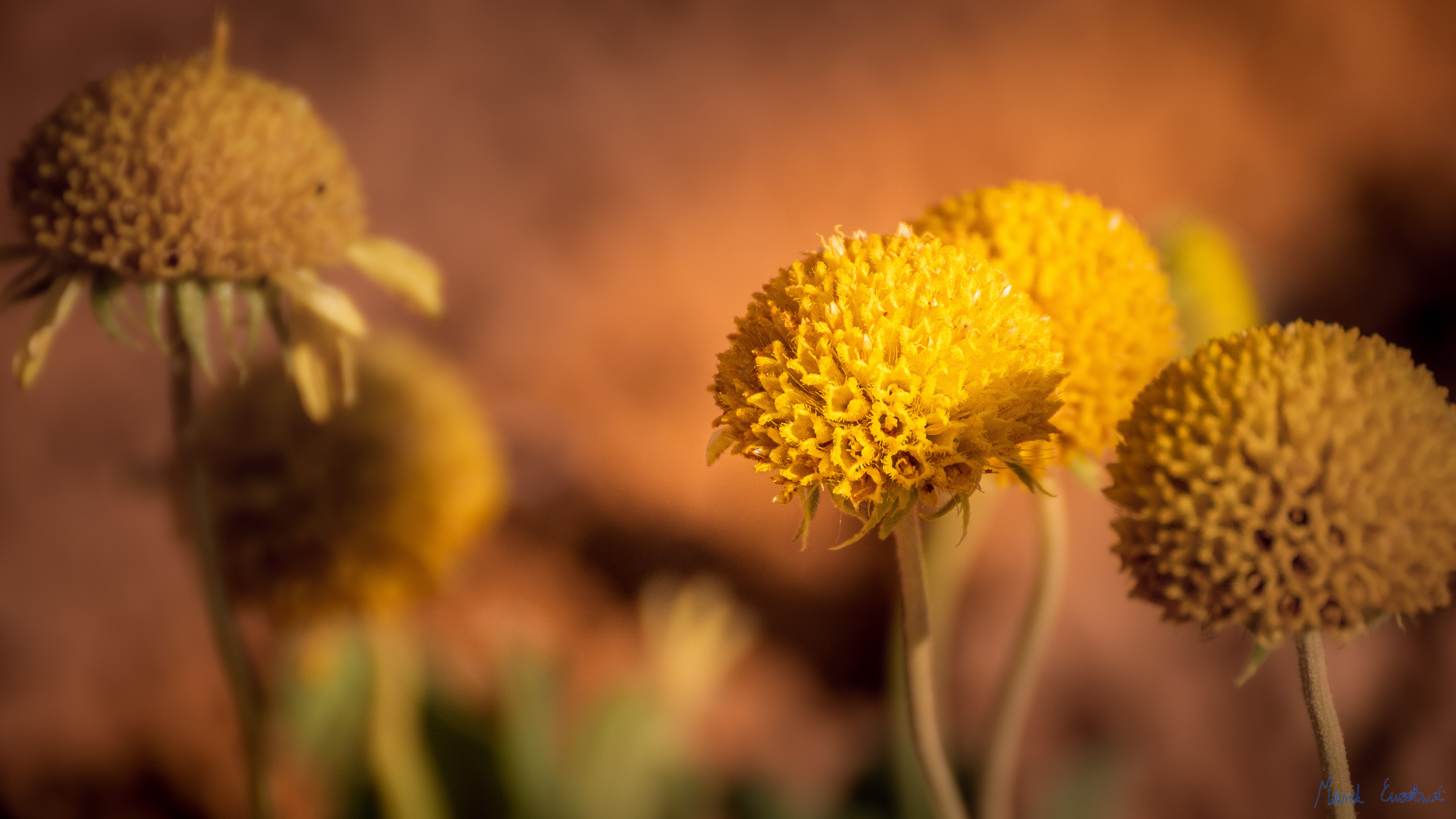 Kodachrome Basin State Park, Utah