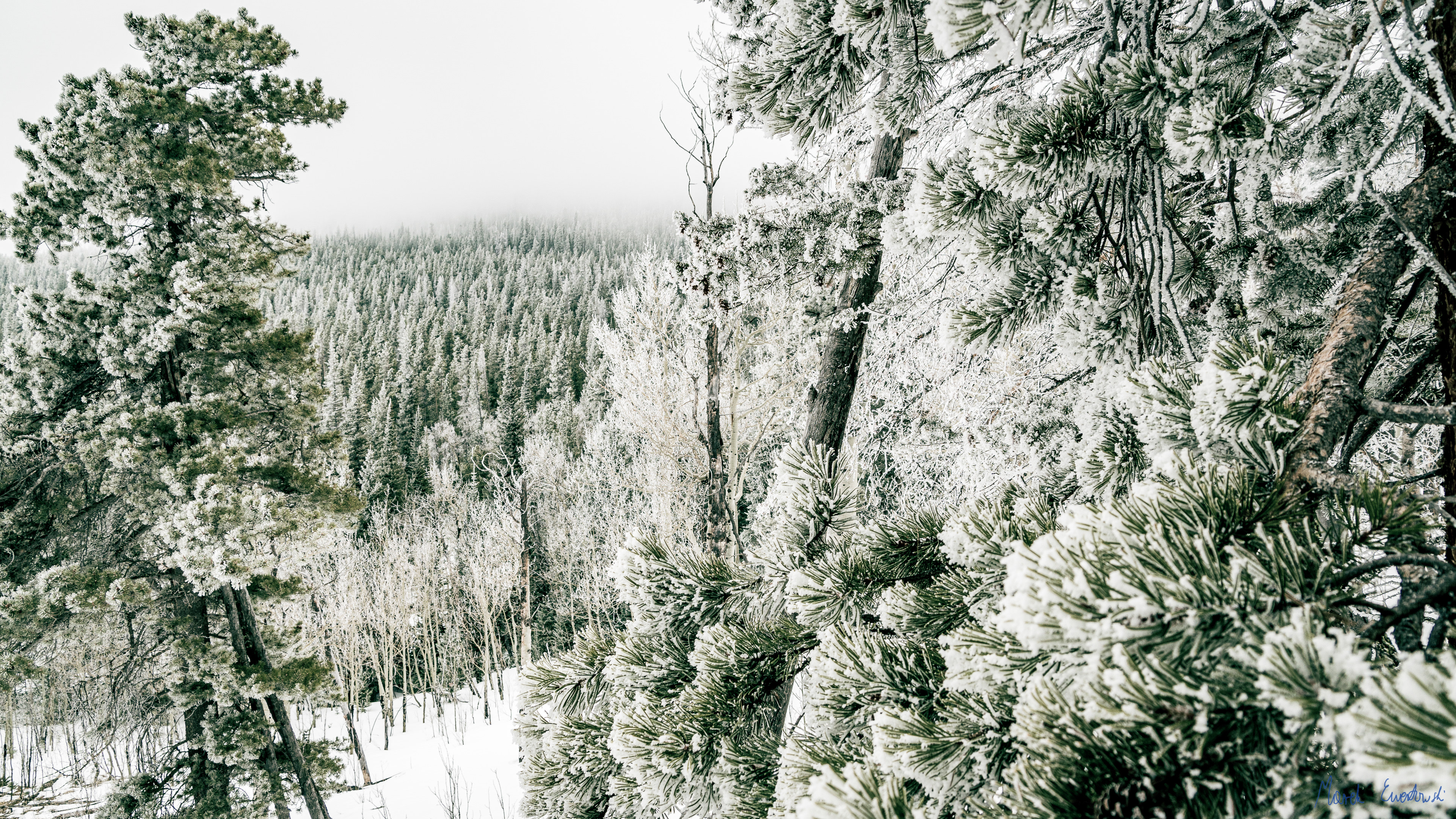 Rocky Mountain National Park, Colorado