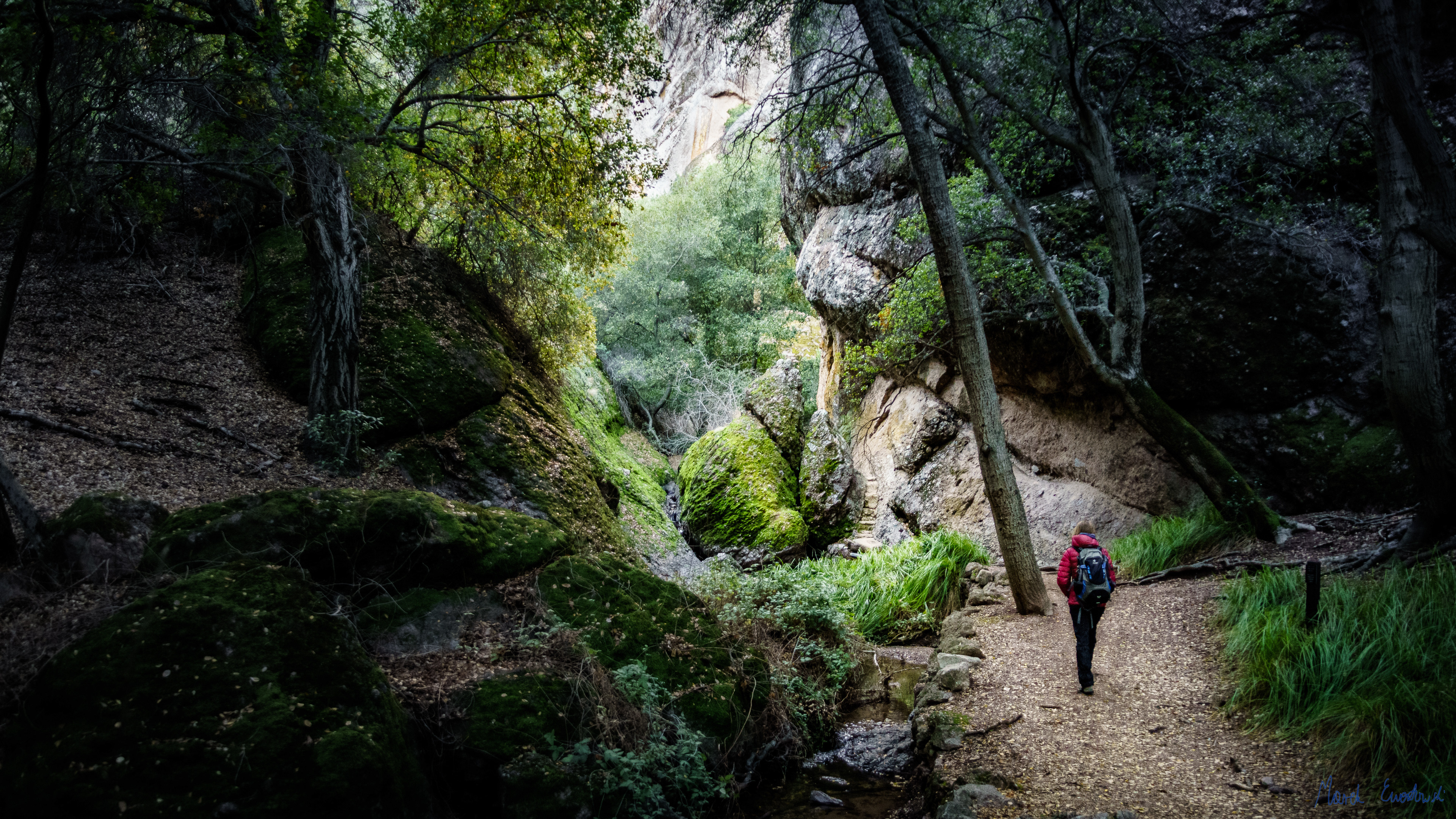 Pinnacles National Park, California
