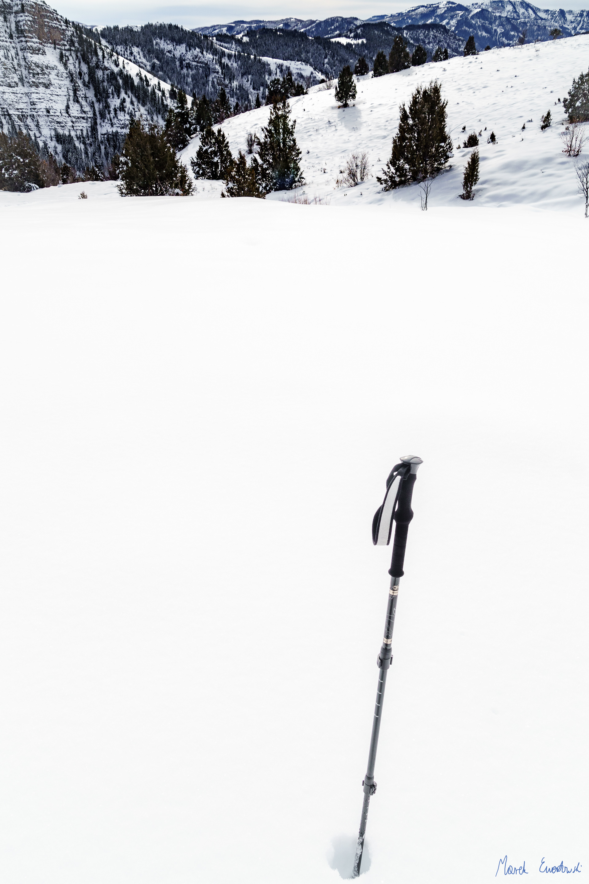 Blind Hollow Trail, Logan Canyon, Utah