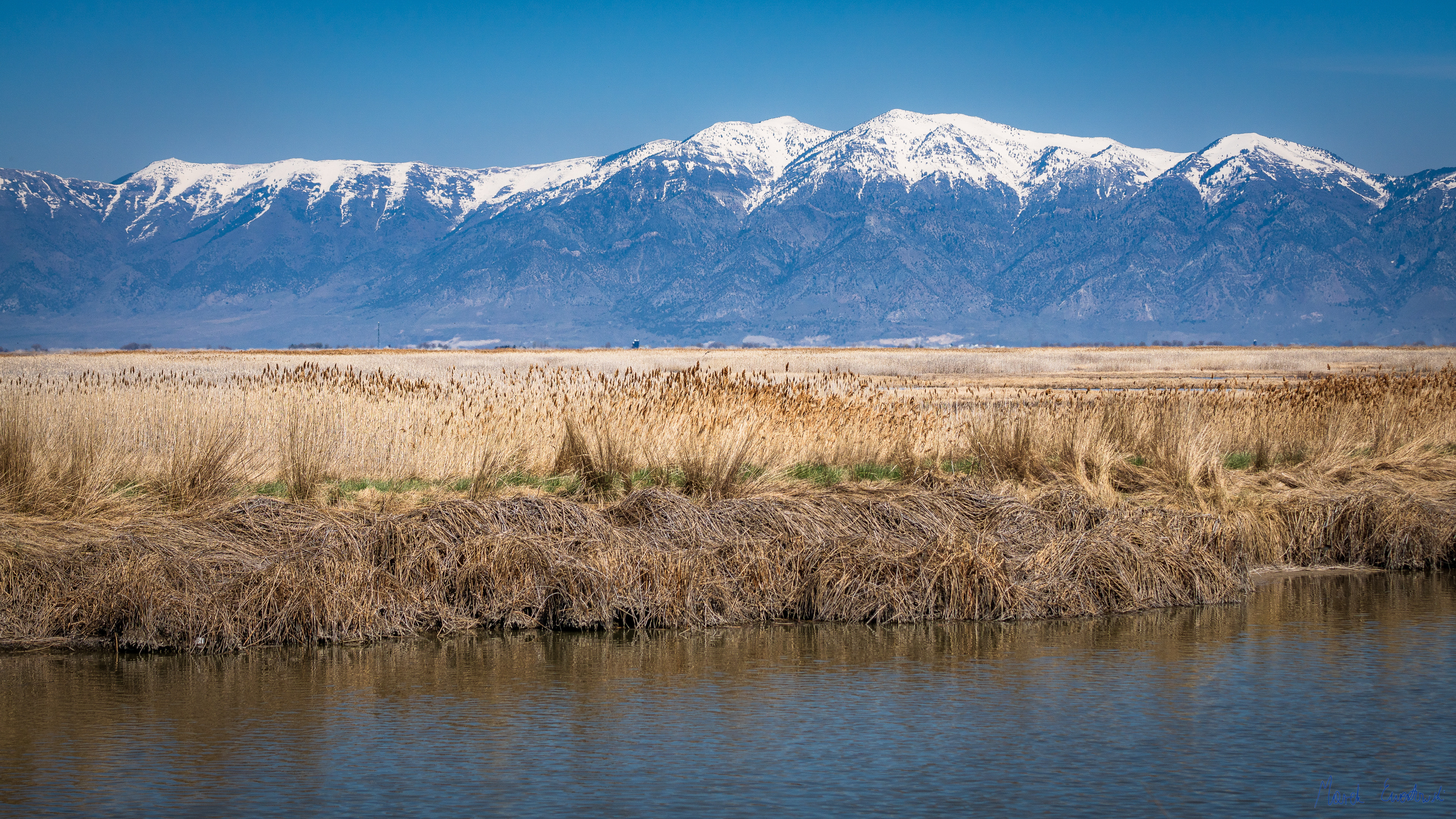  Bear River Migratory Bird Refuge, Utah