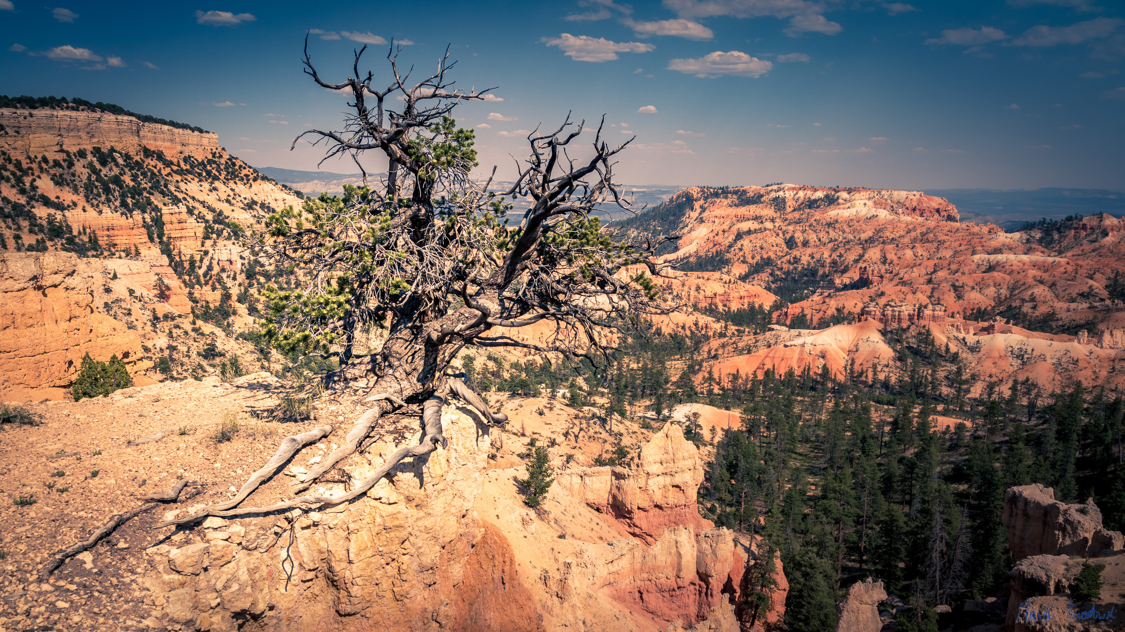 Bryce Canyon National Park, Utah