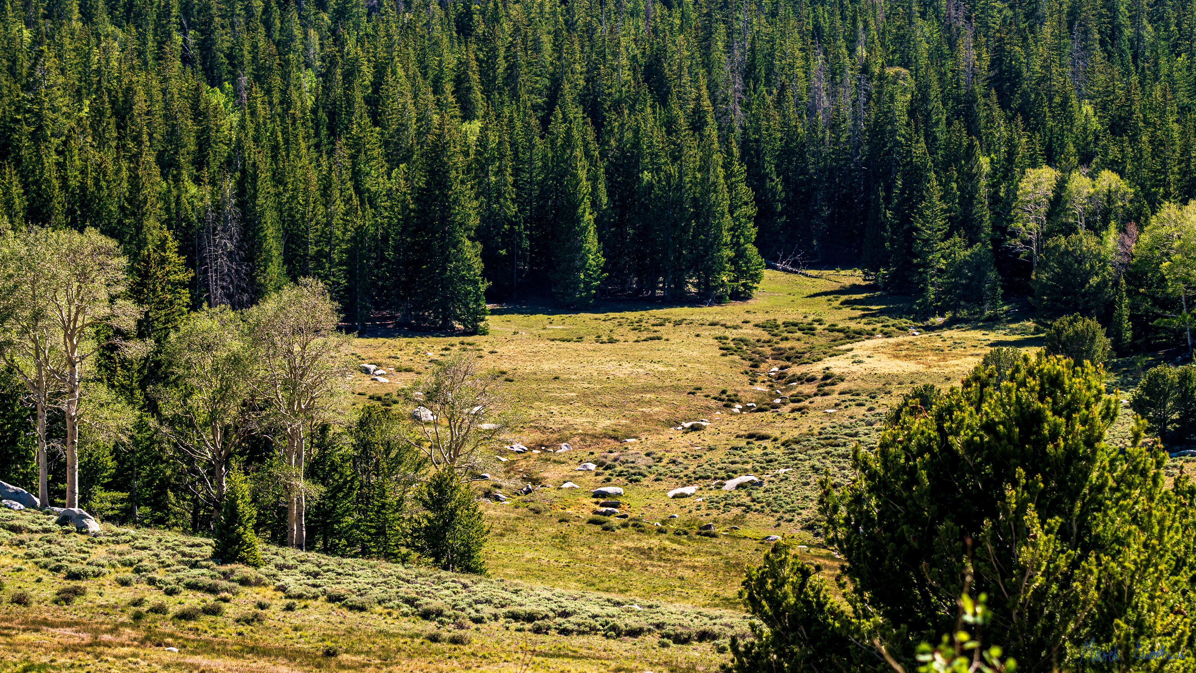 Great Basin National Park, Nevada