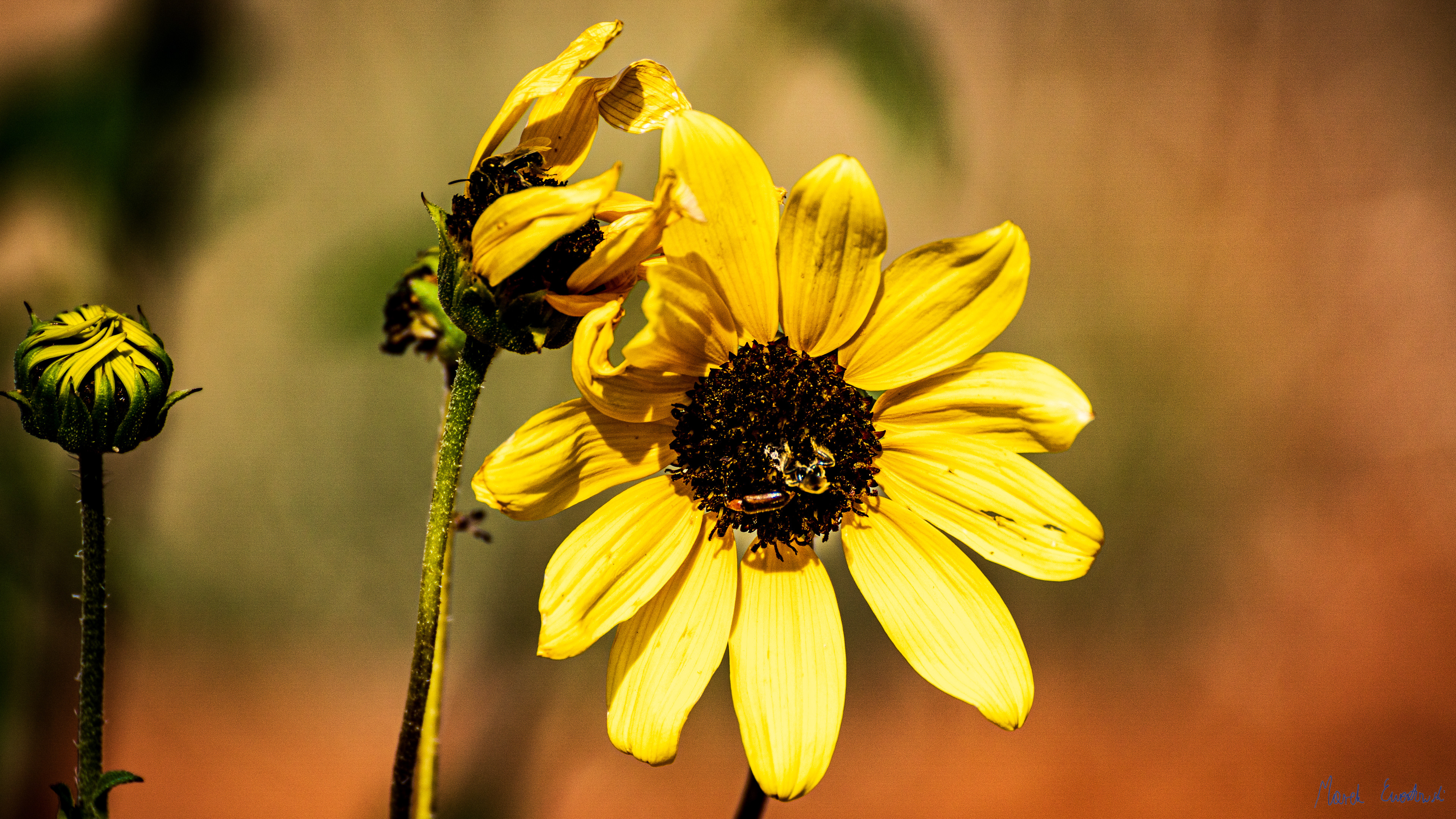 Kodachrome Basin State Park, Utah