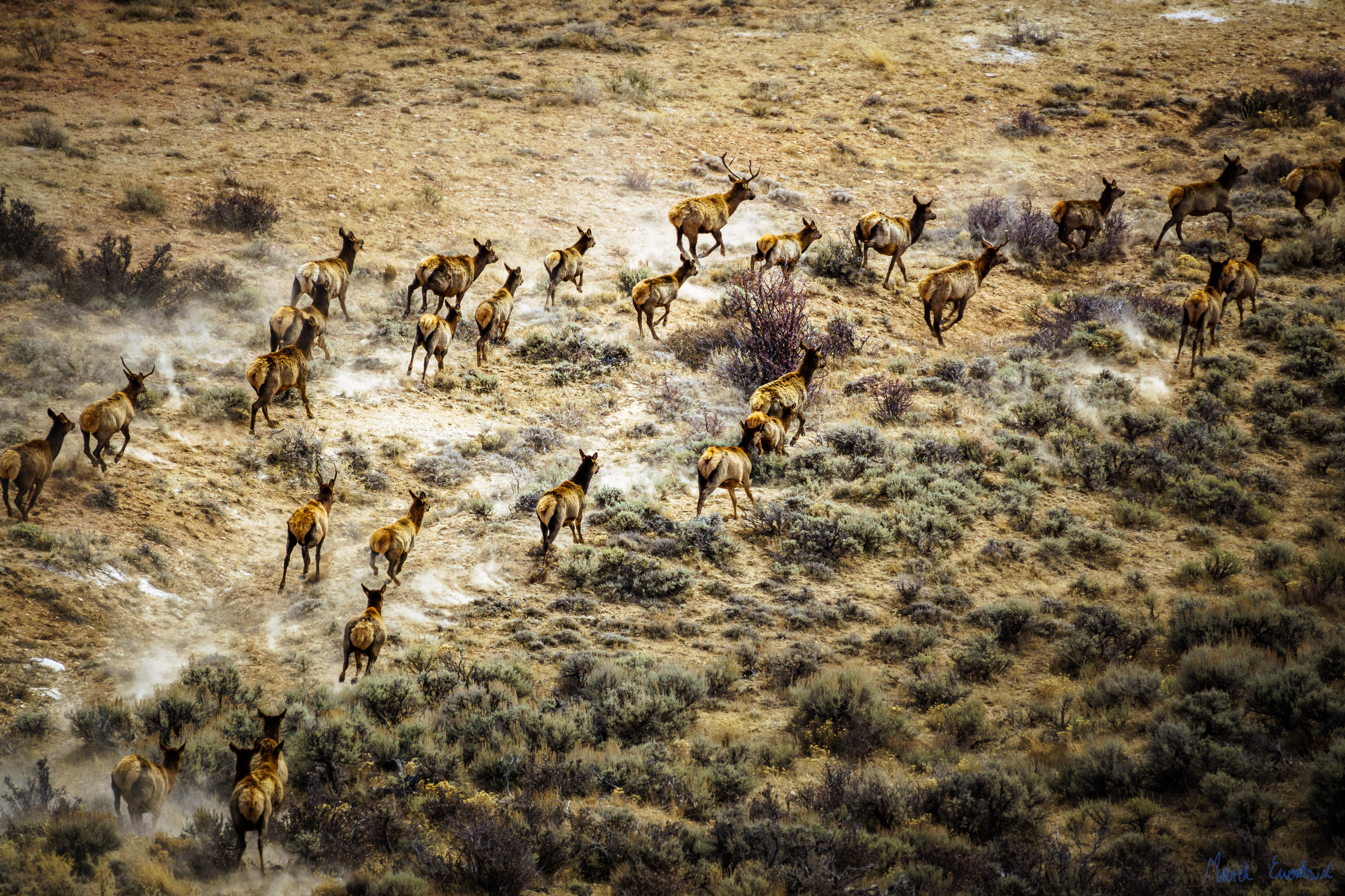 Fossil Butte National Monument, Wyoming