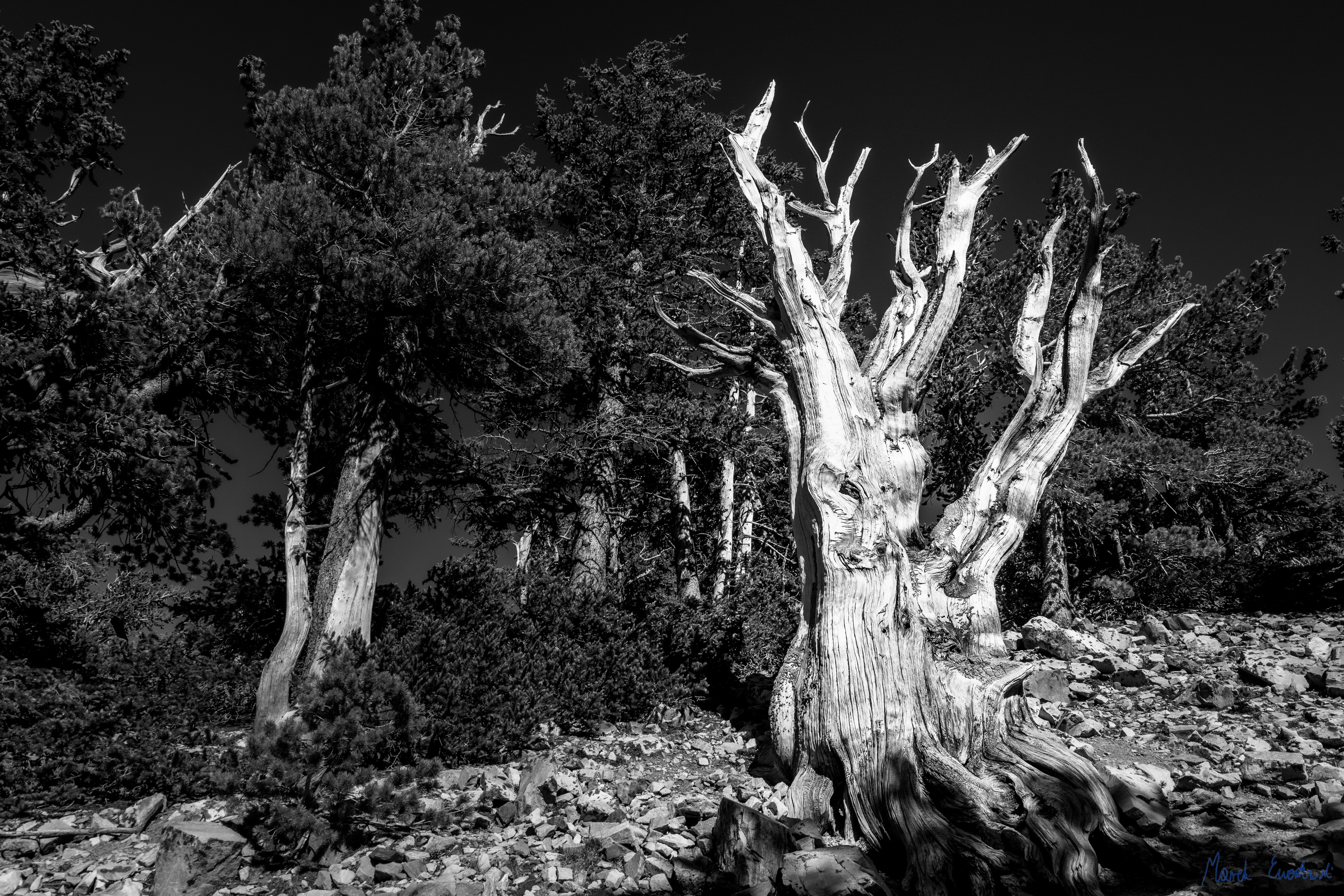Great Basin National Park, Nevada
