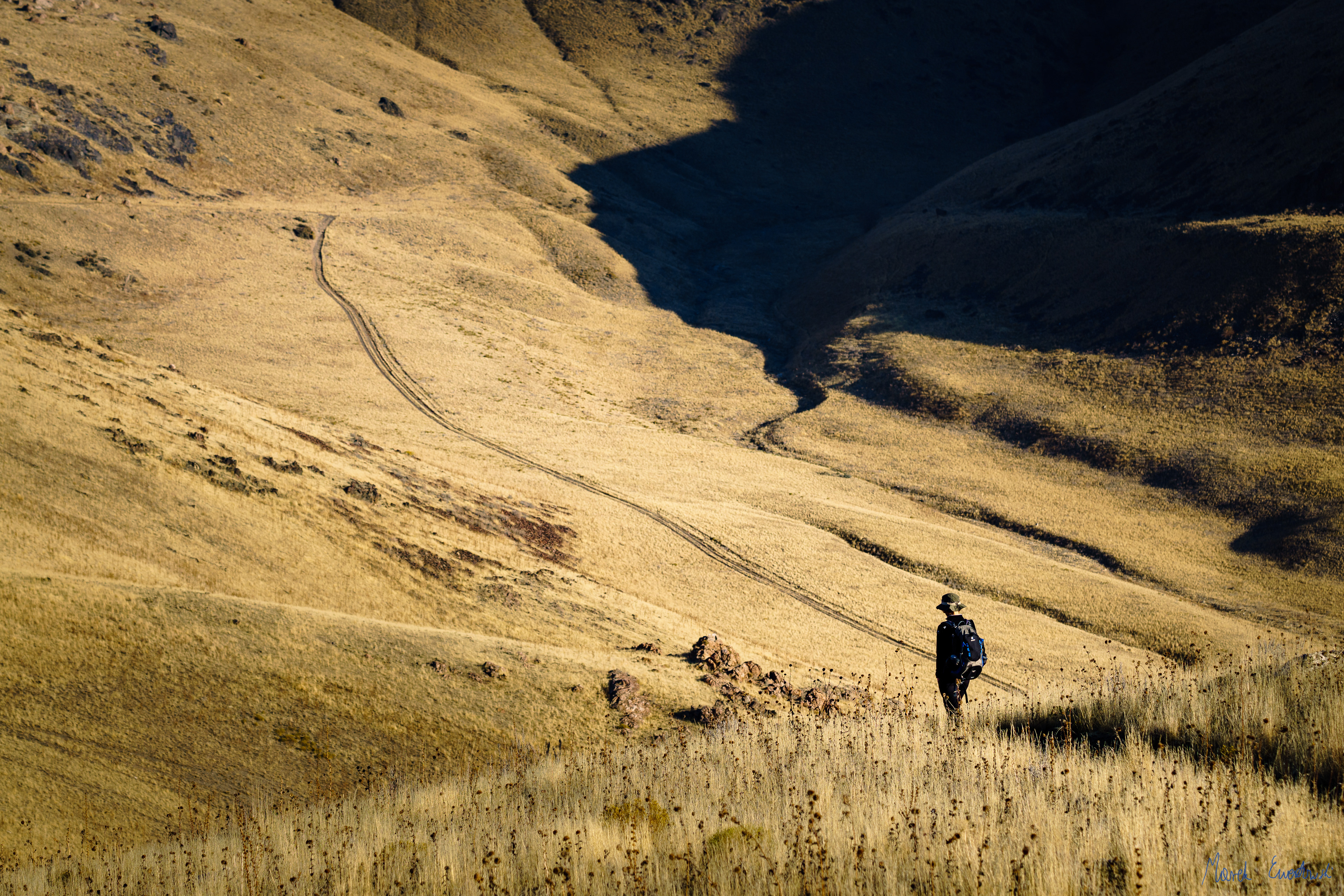 Antelope Island, Utah