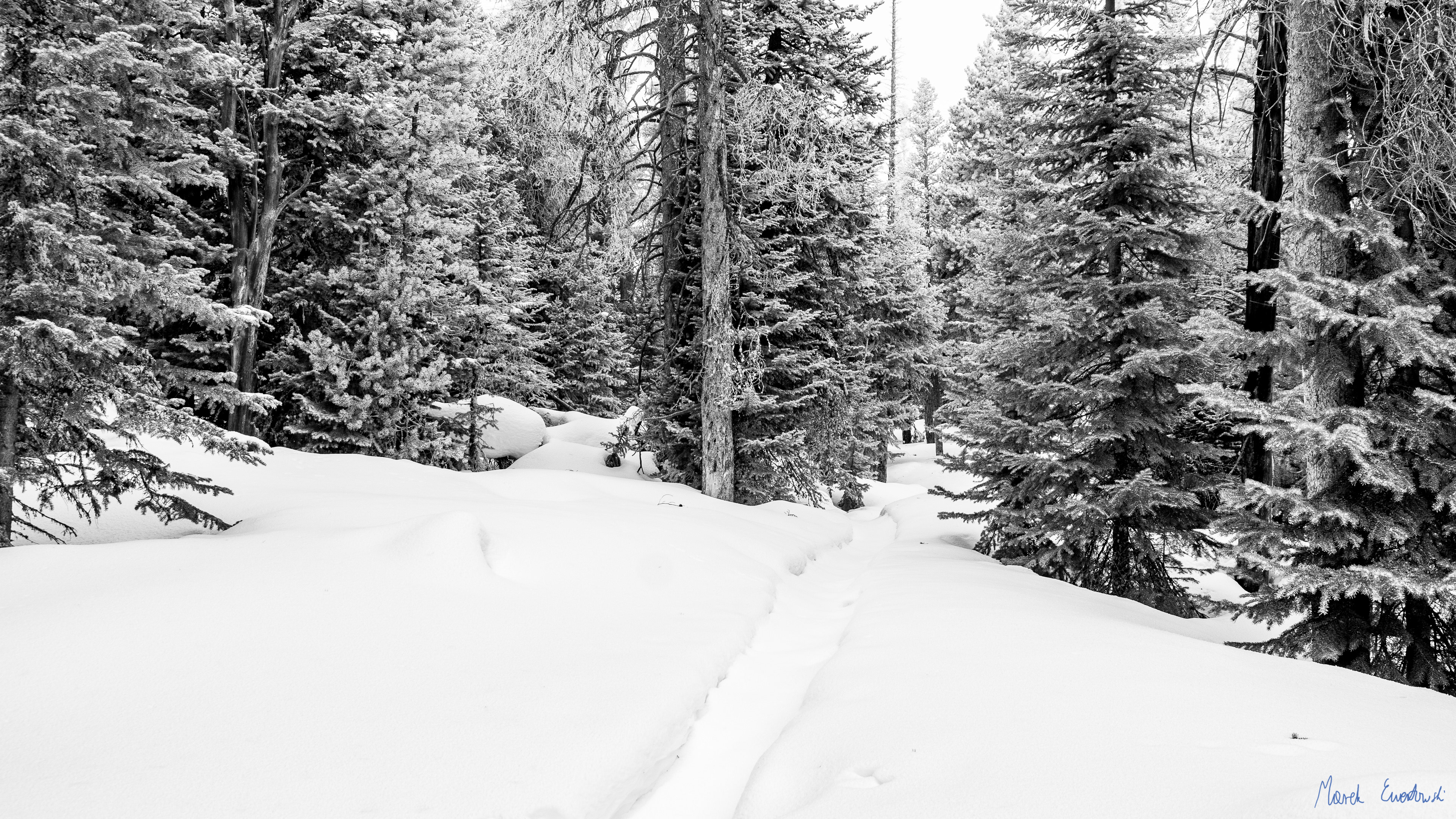 Rocky Mountain National Park, Colorado