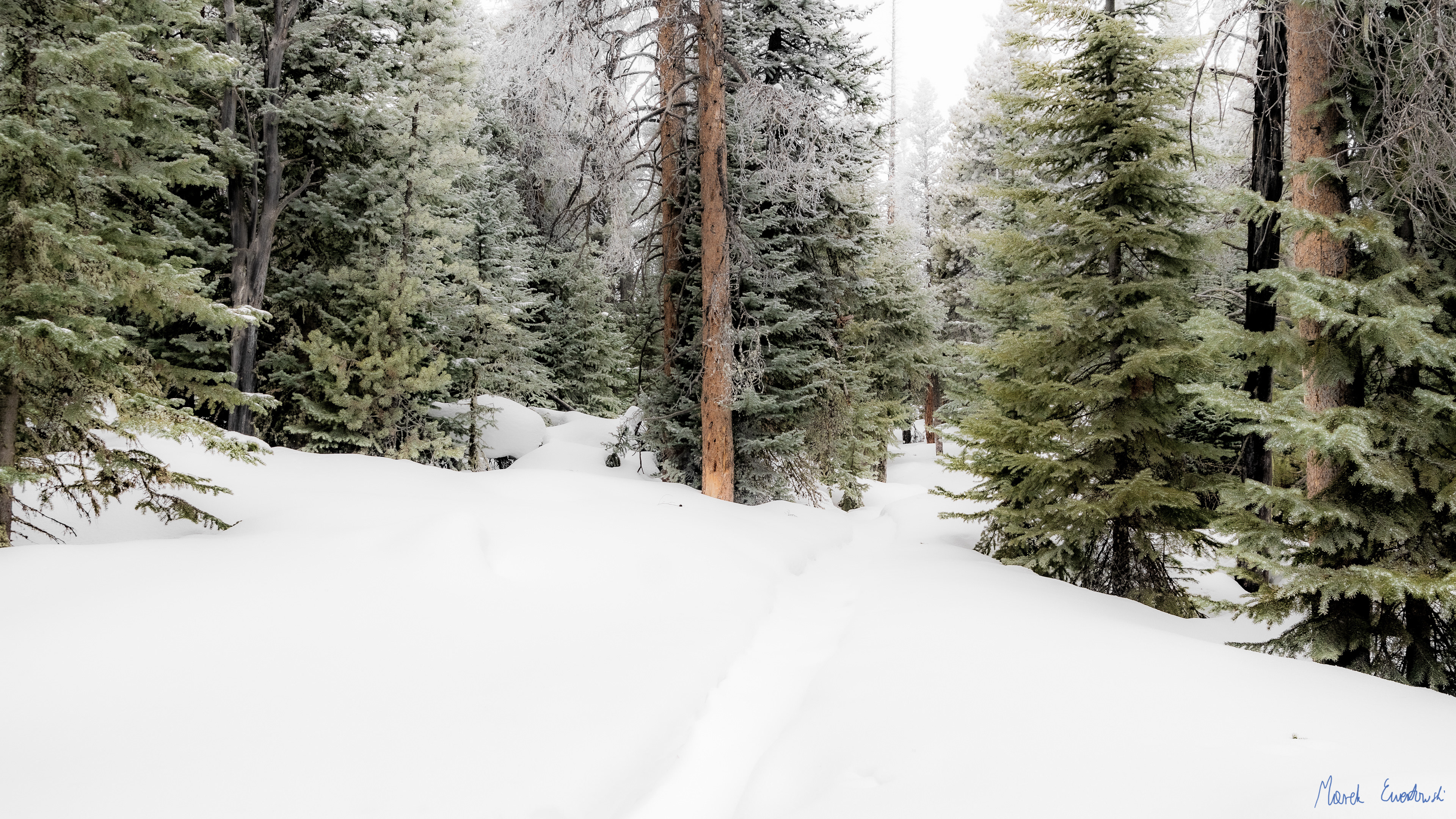 Rocky Mountain National Park, Colorado