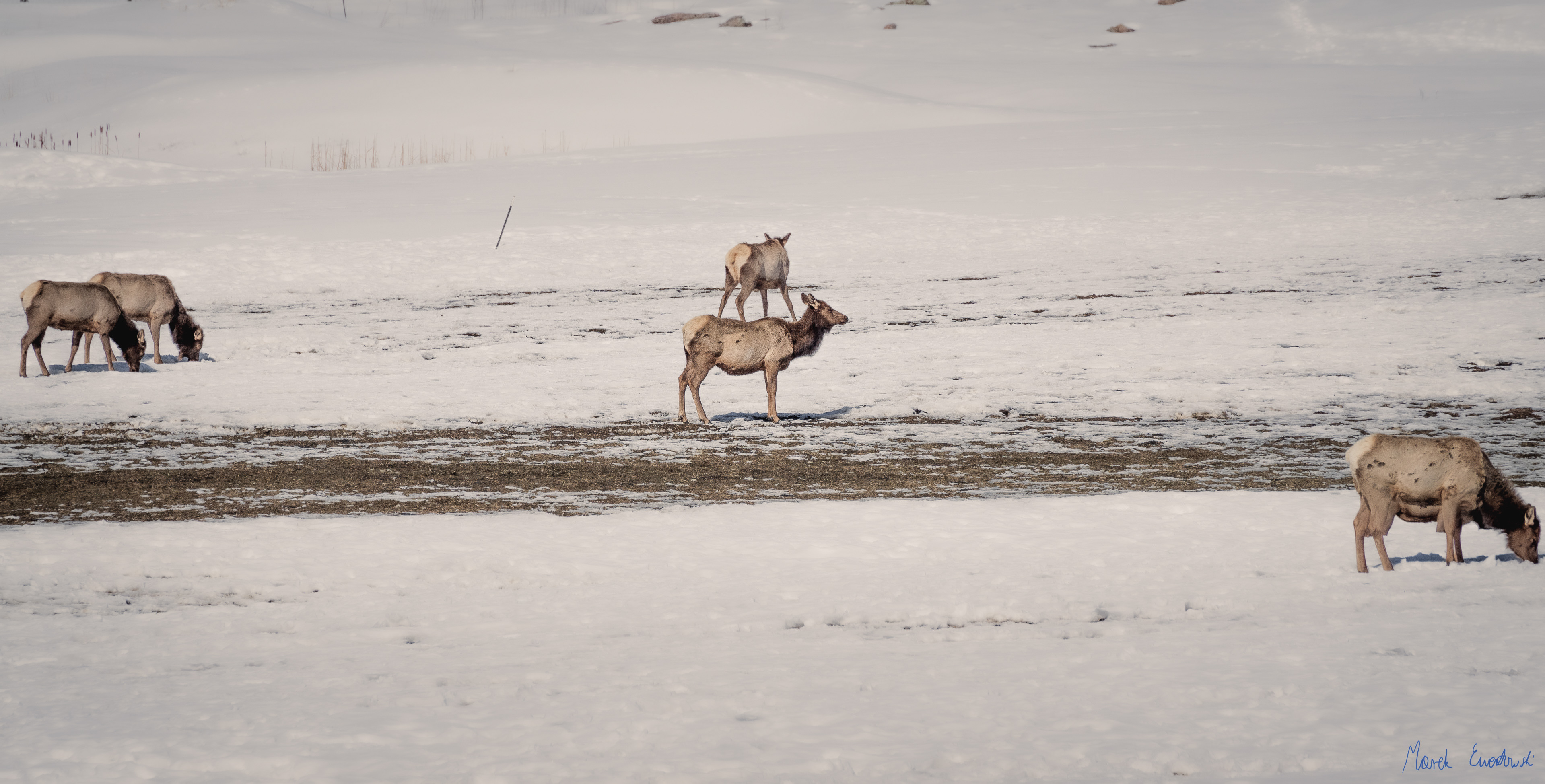  Hardware Ranch, Bear River Range, Utah