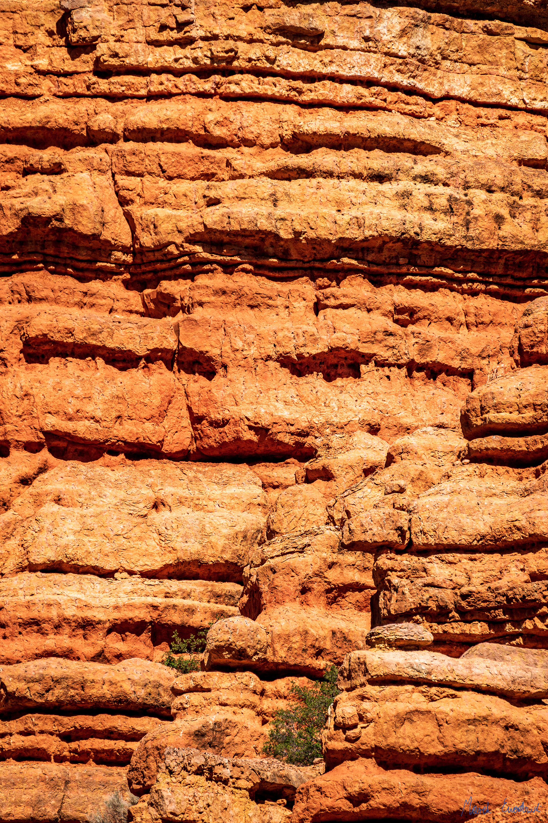 Red Canyon, Dixie National Forest, Utah