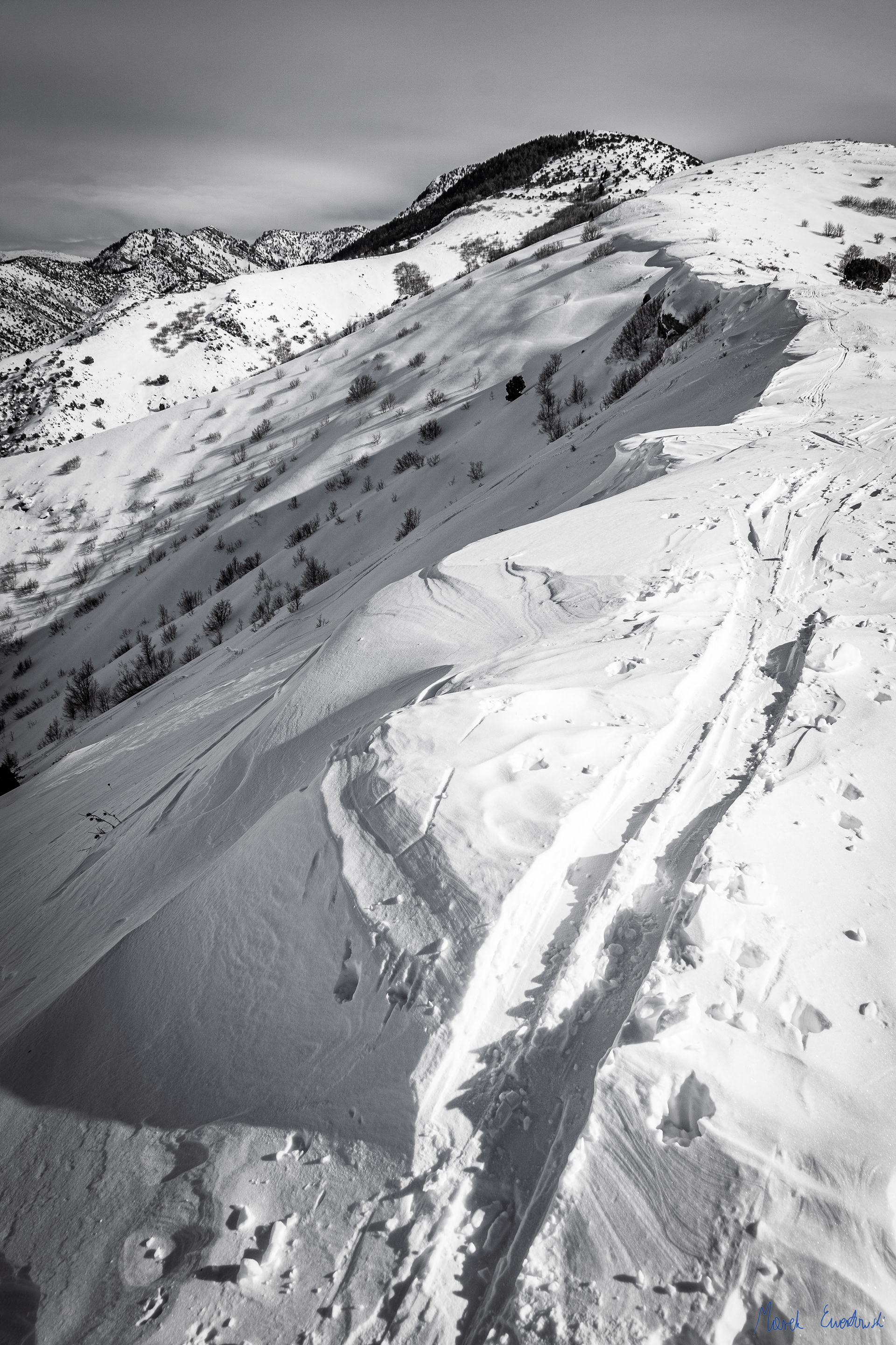Bear River Range, Utah