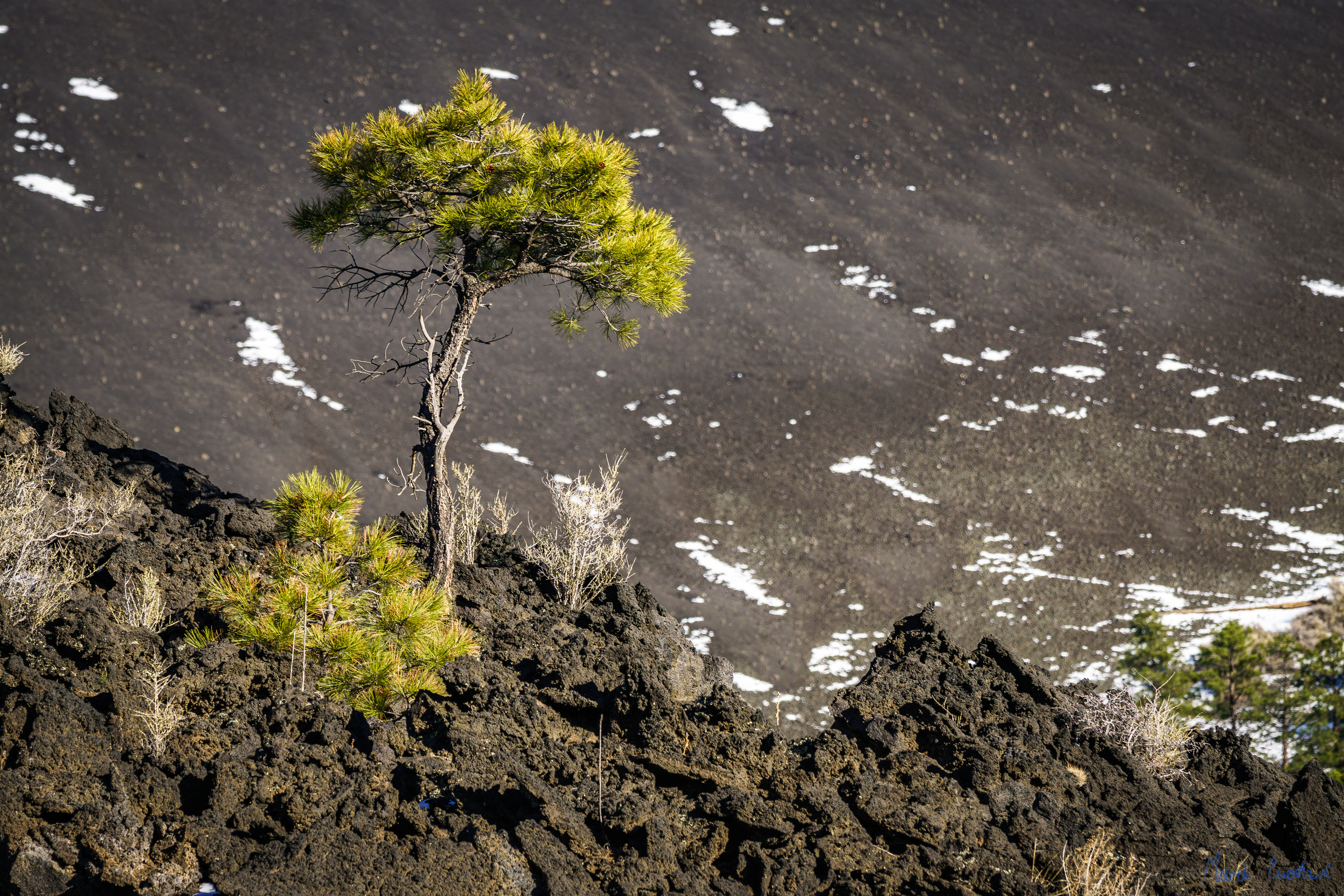 Sunset Crater Volcano National Monument, Arizona
