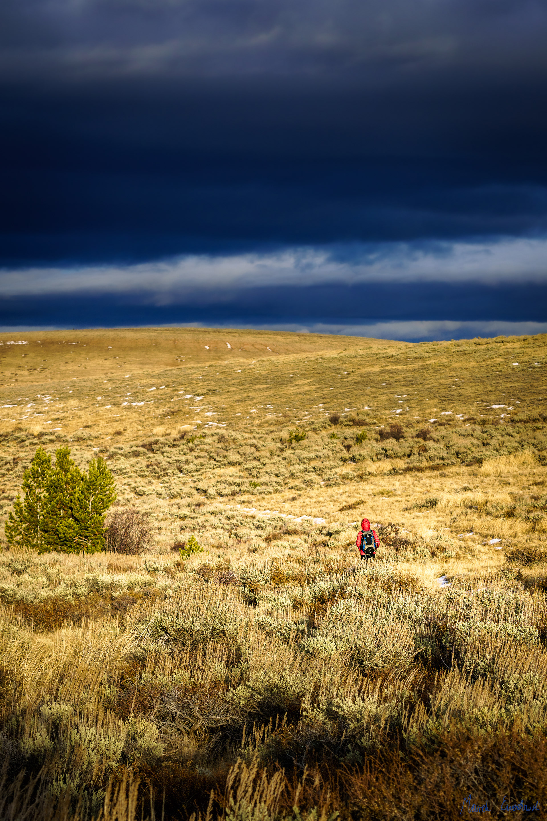 Fossil Butte National Monument, Wyoming