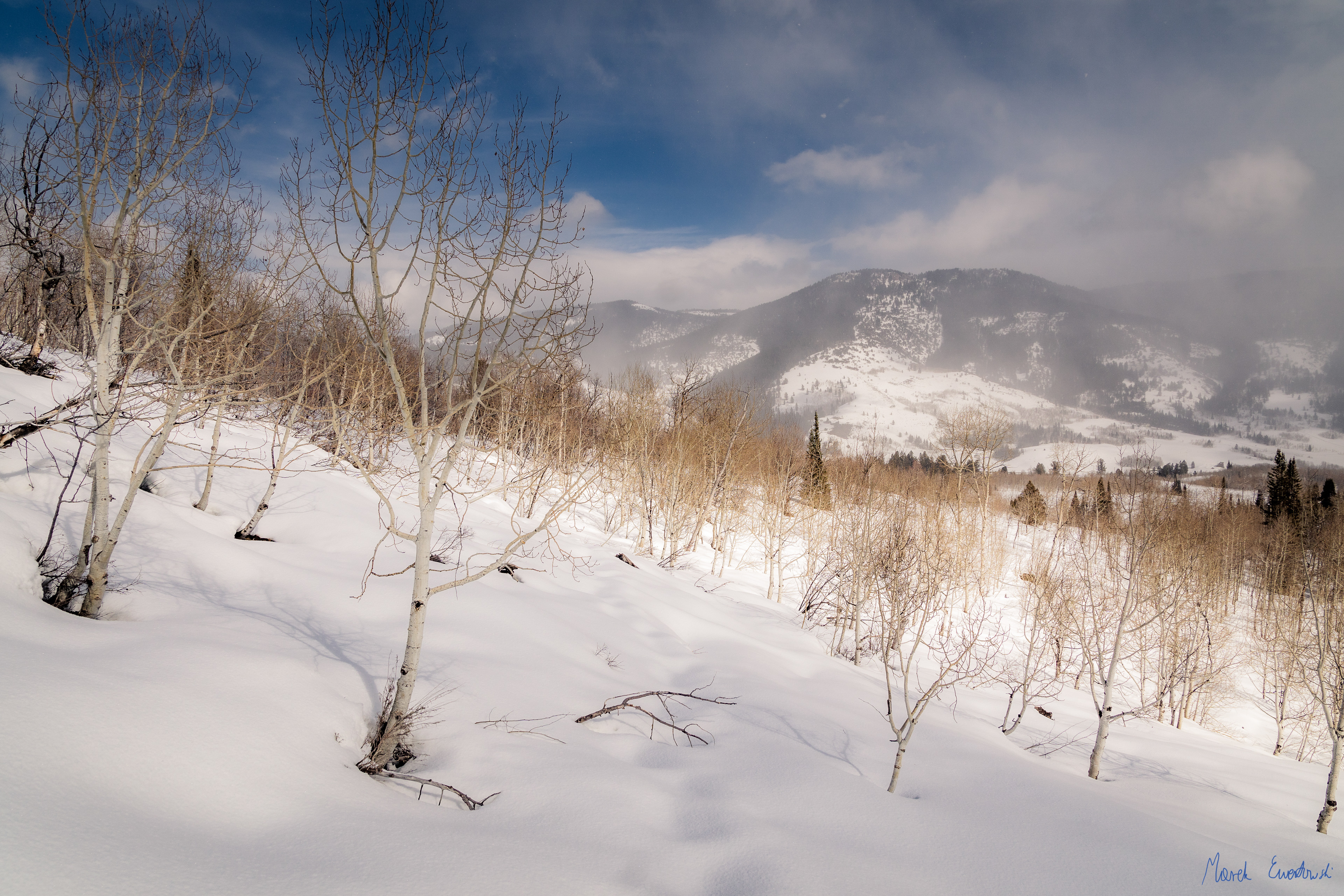 Steam Mill, Bear River Range, Utah