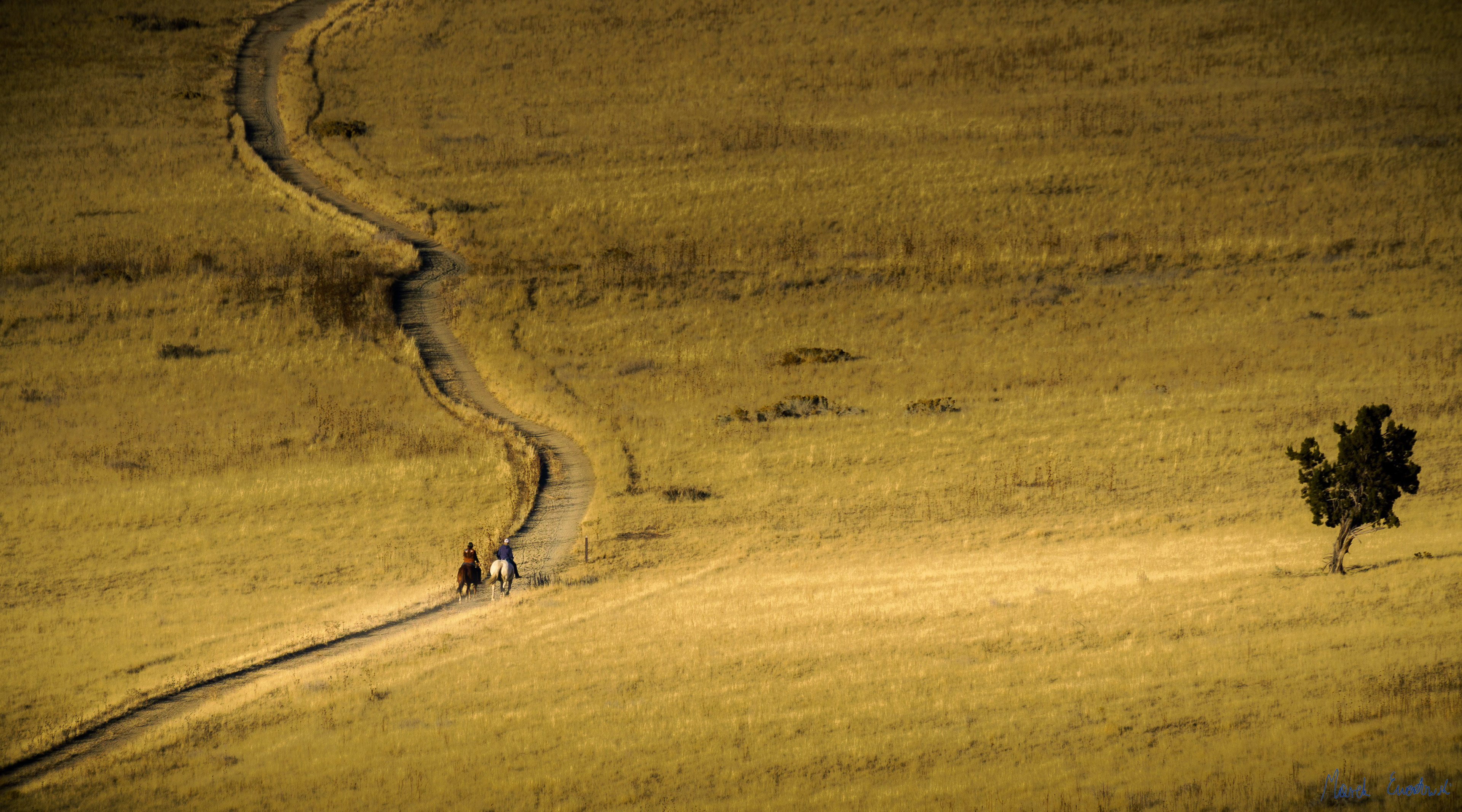 Antelope Island, Utah
