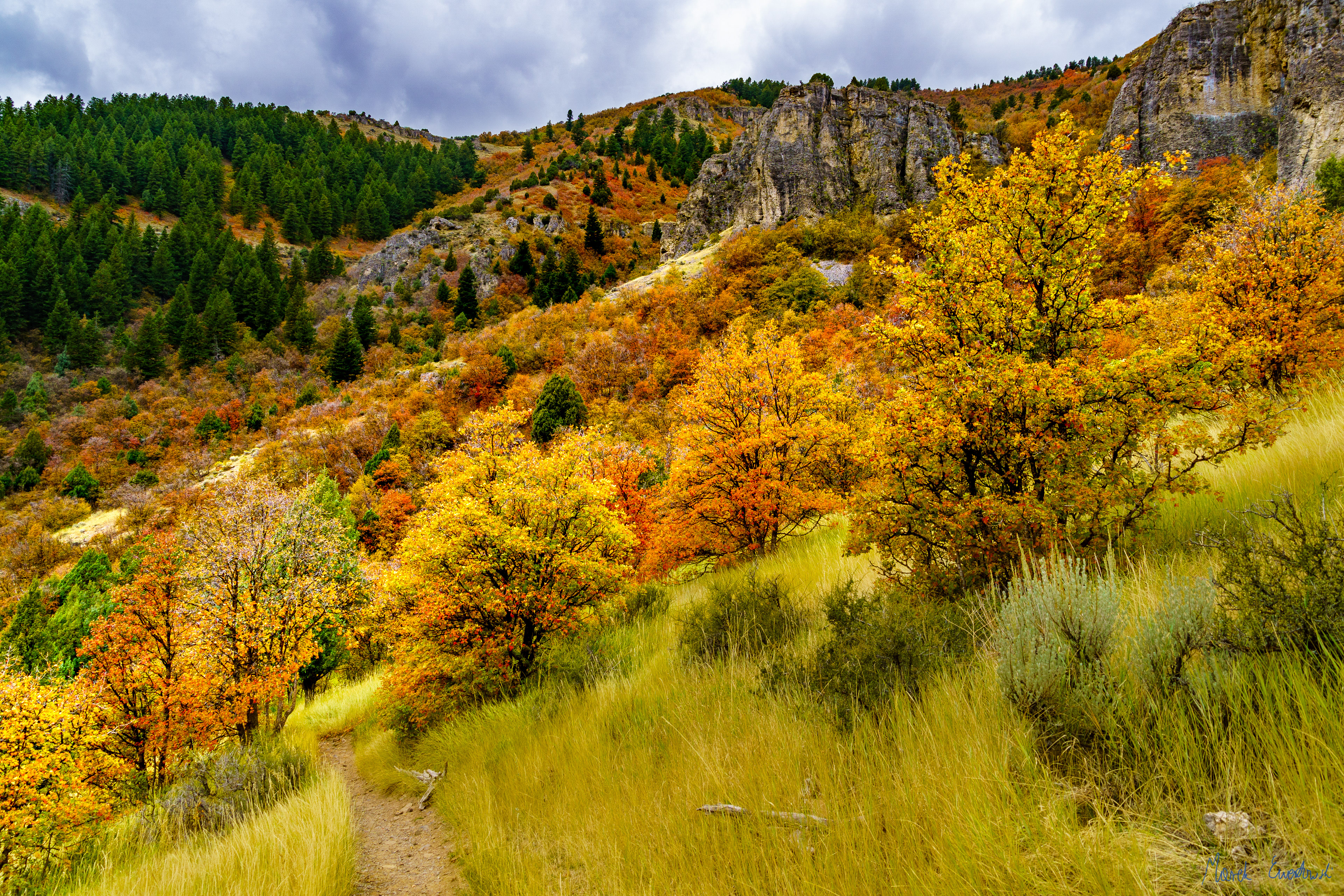 Wind Cave trail, Logan Canyon, Utah