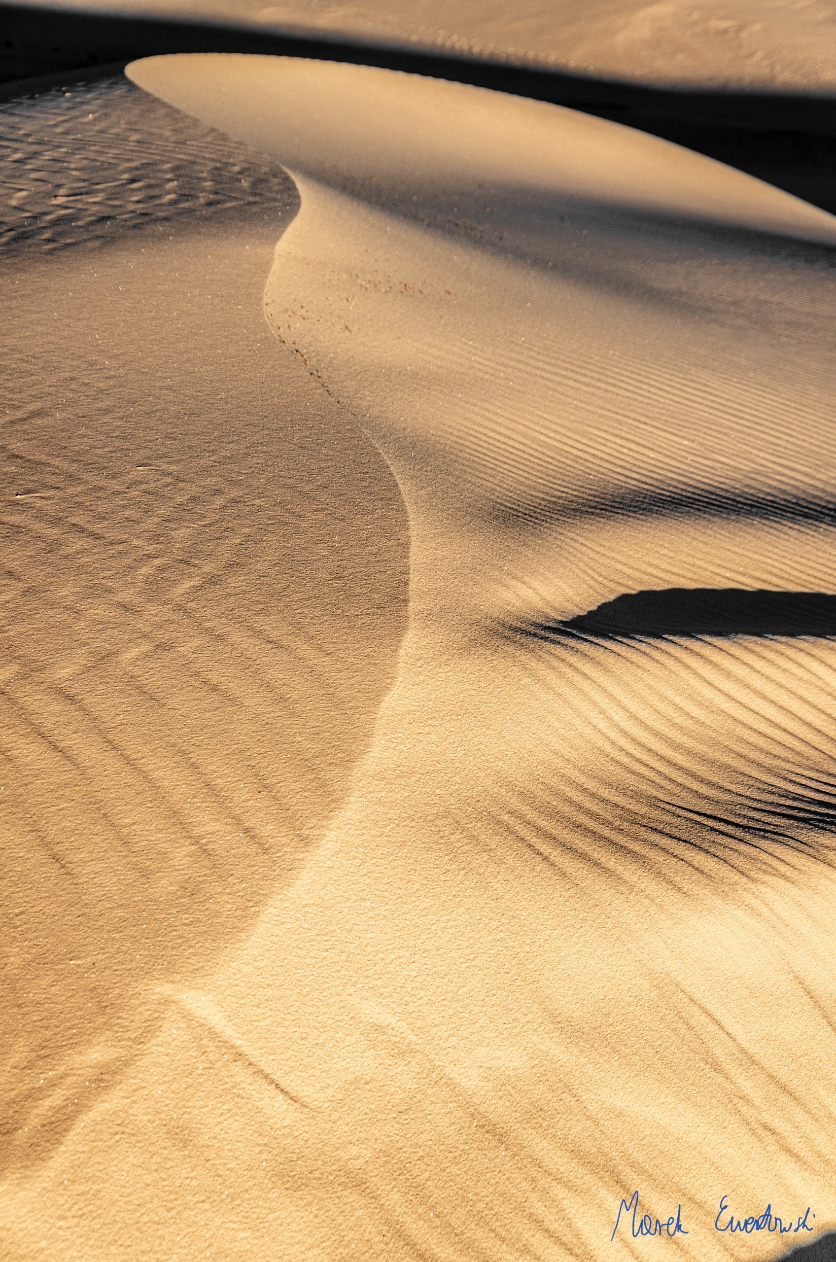 Sharp-crested dune, White Sands, New Mexico