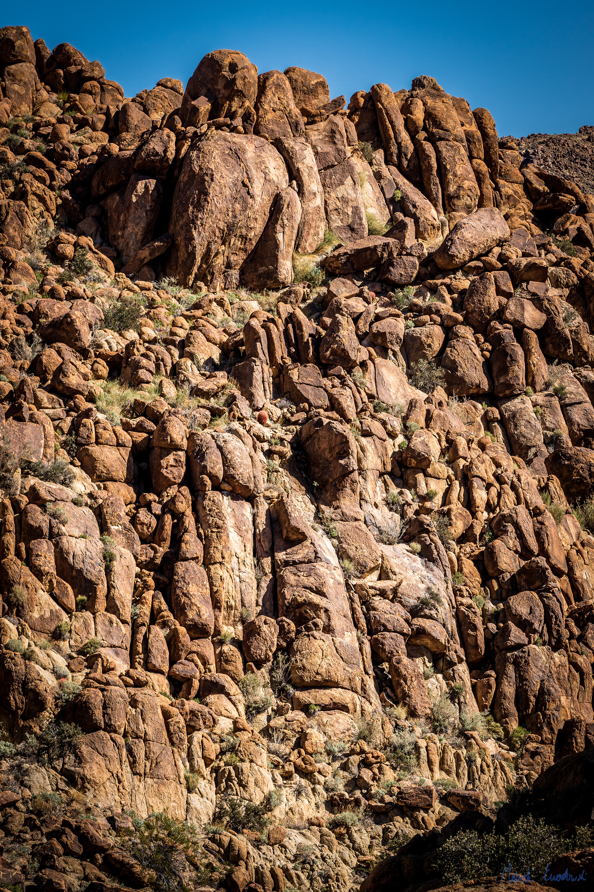 Joshua Tree National Park, California