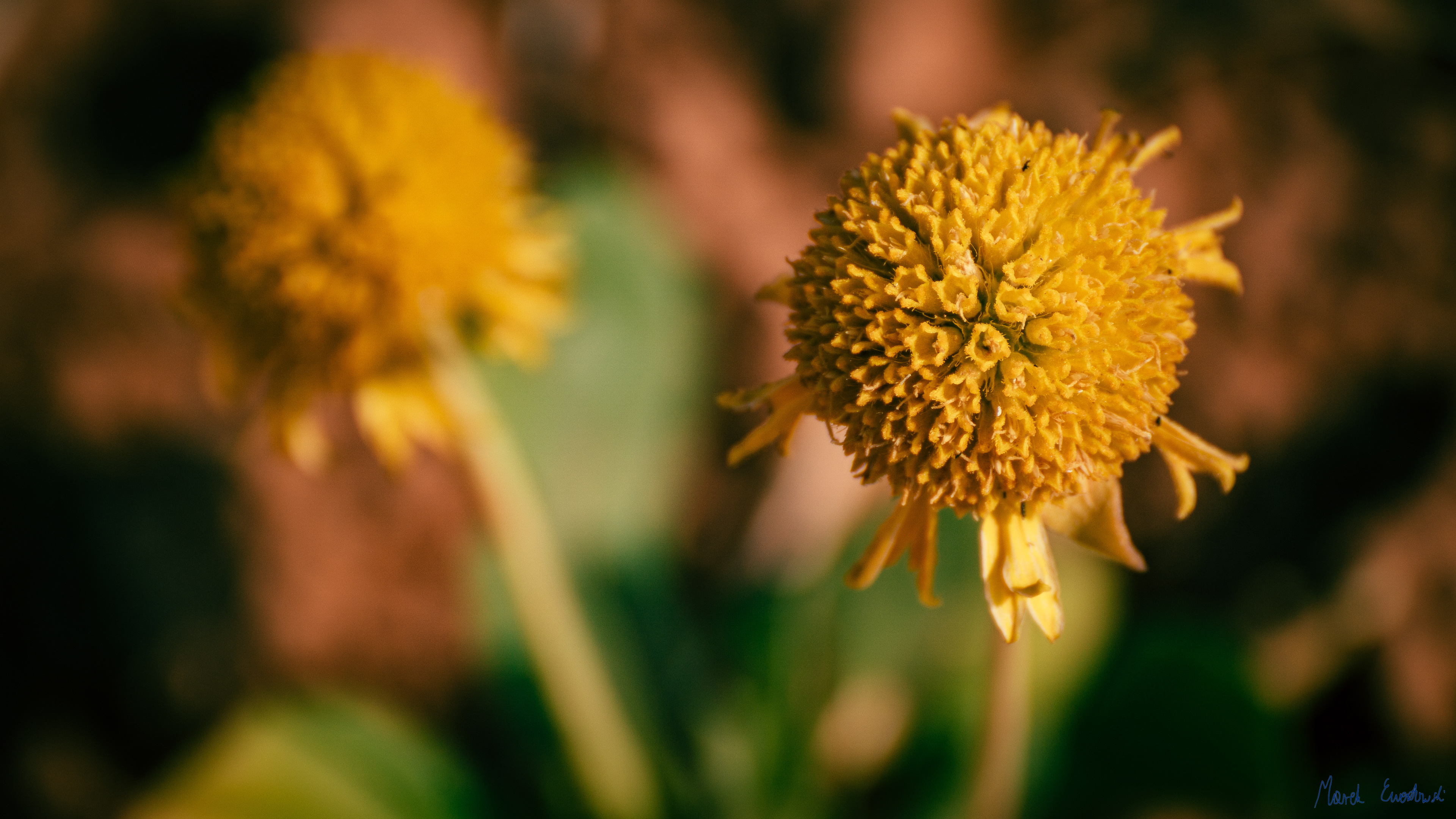 Kodachrome Basin State Park, Utah