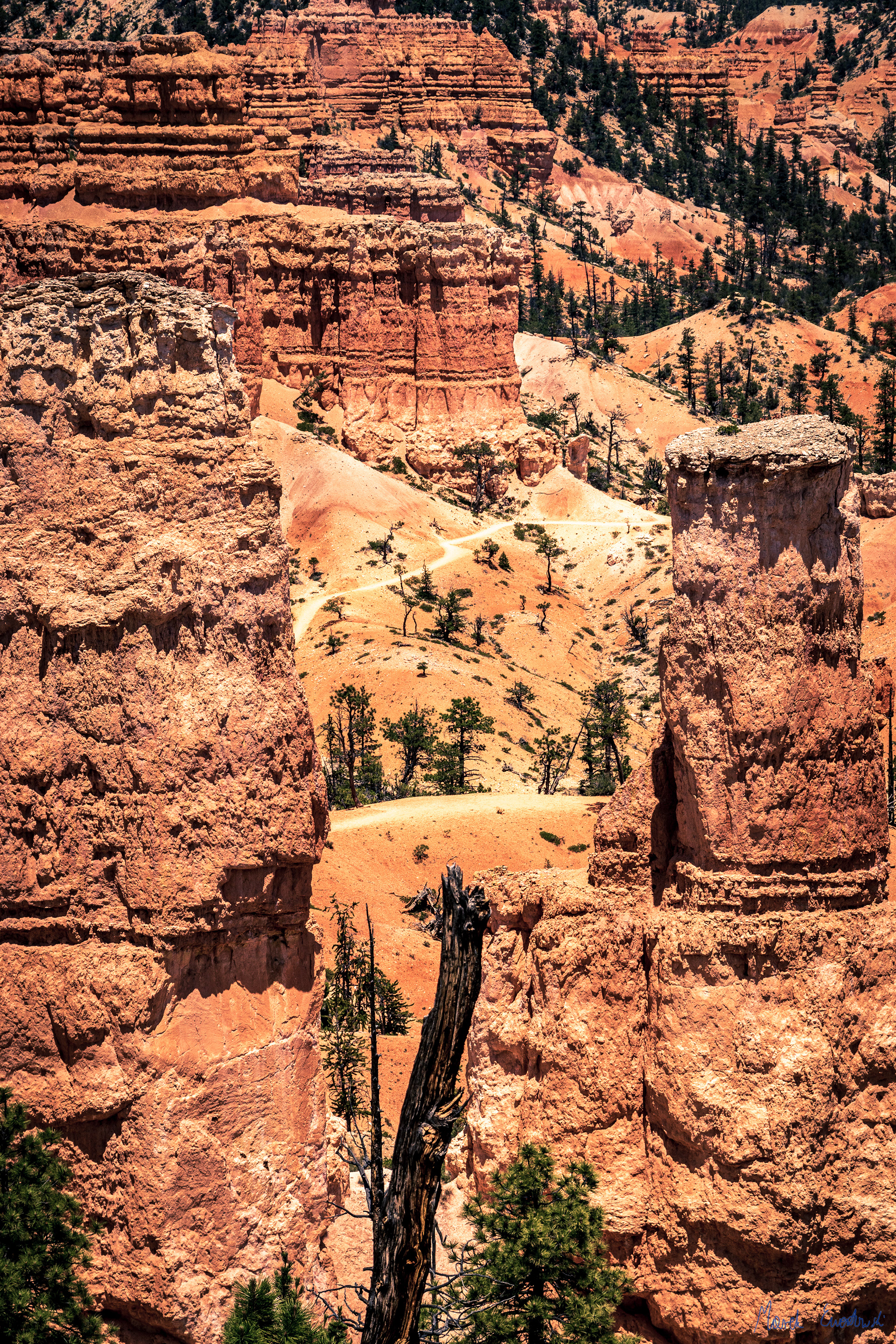 Bryce Canyon National Park, Utah