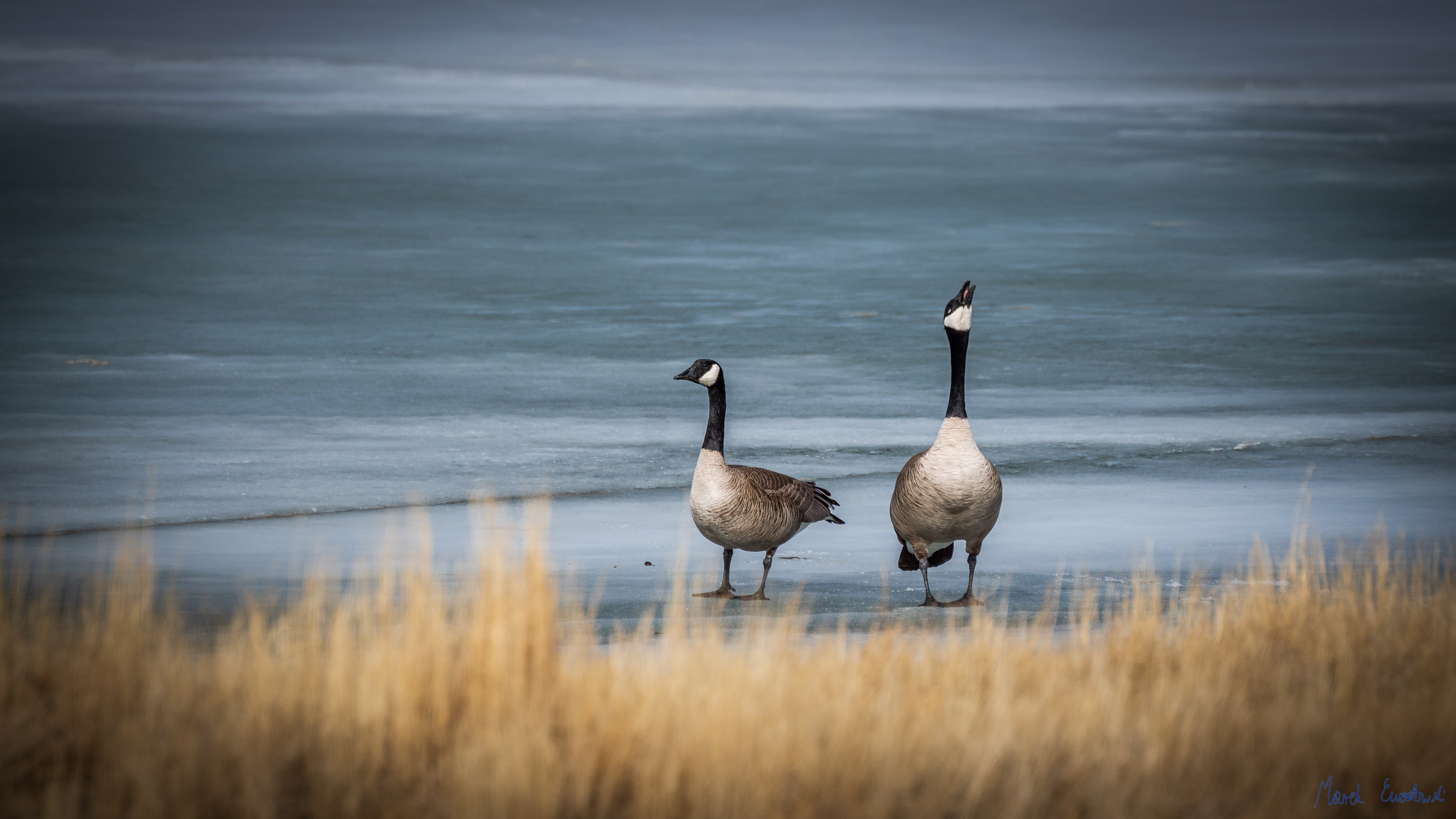 Green River, Wyoming