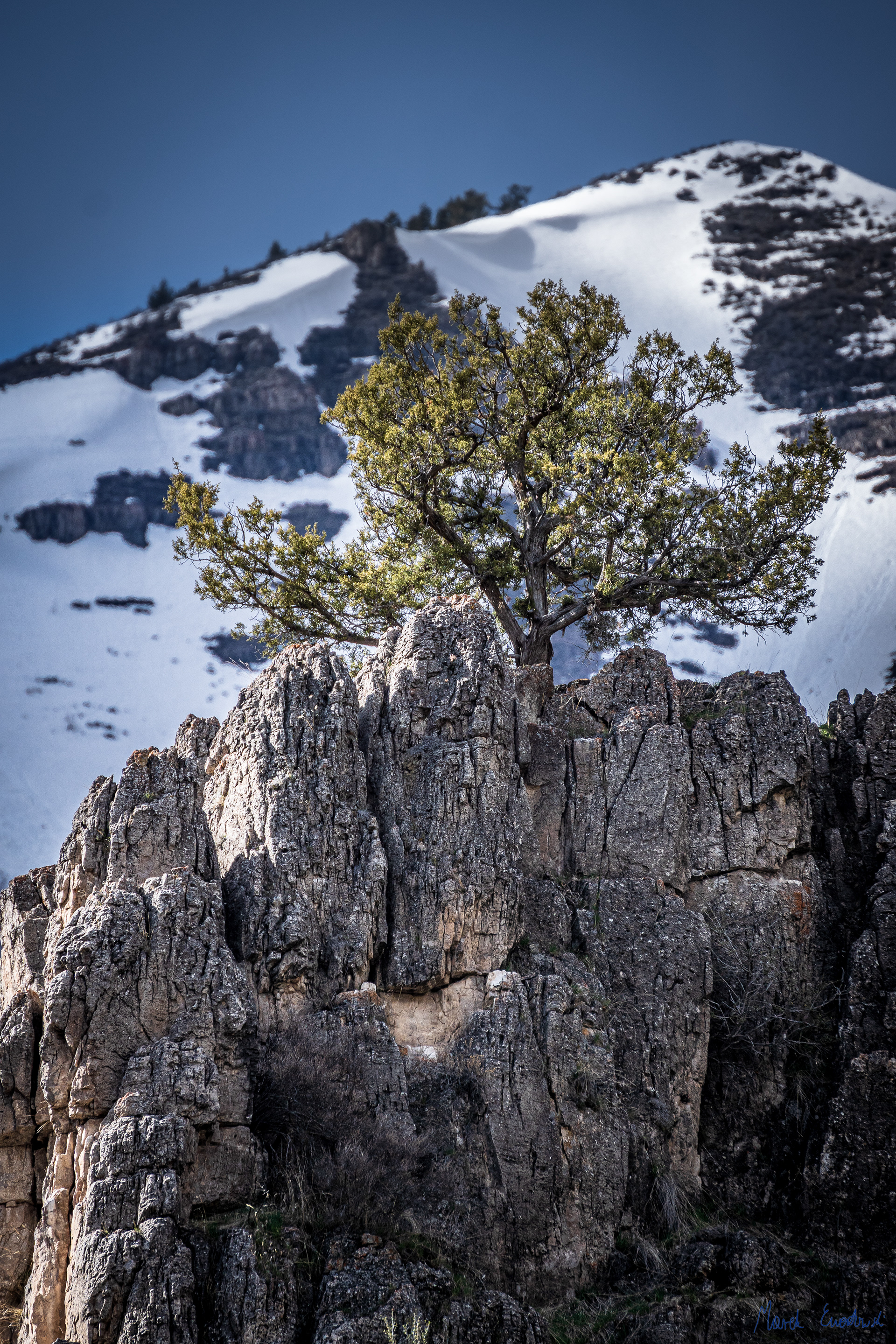 Bear River Range, Utah