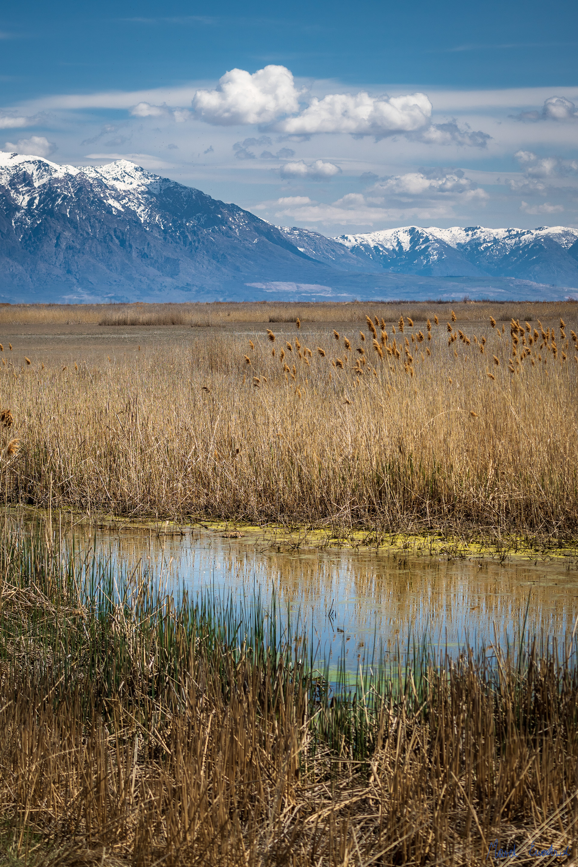  Bear River Migratory Bird Refuge, Utah