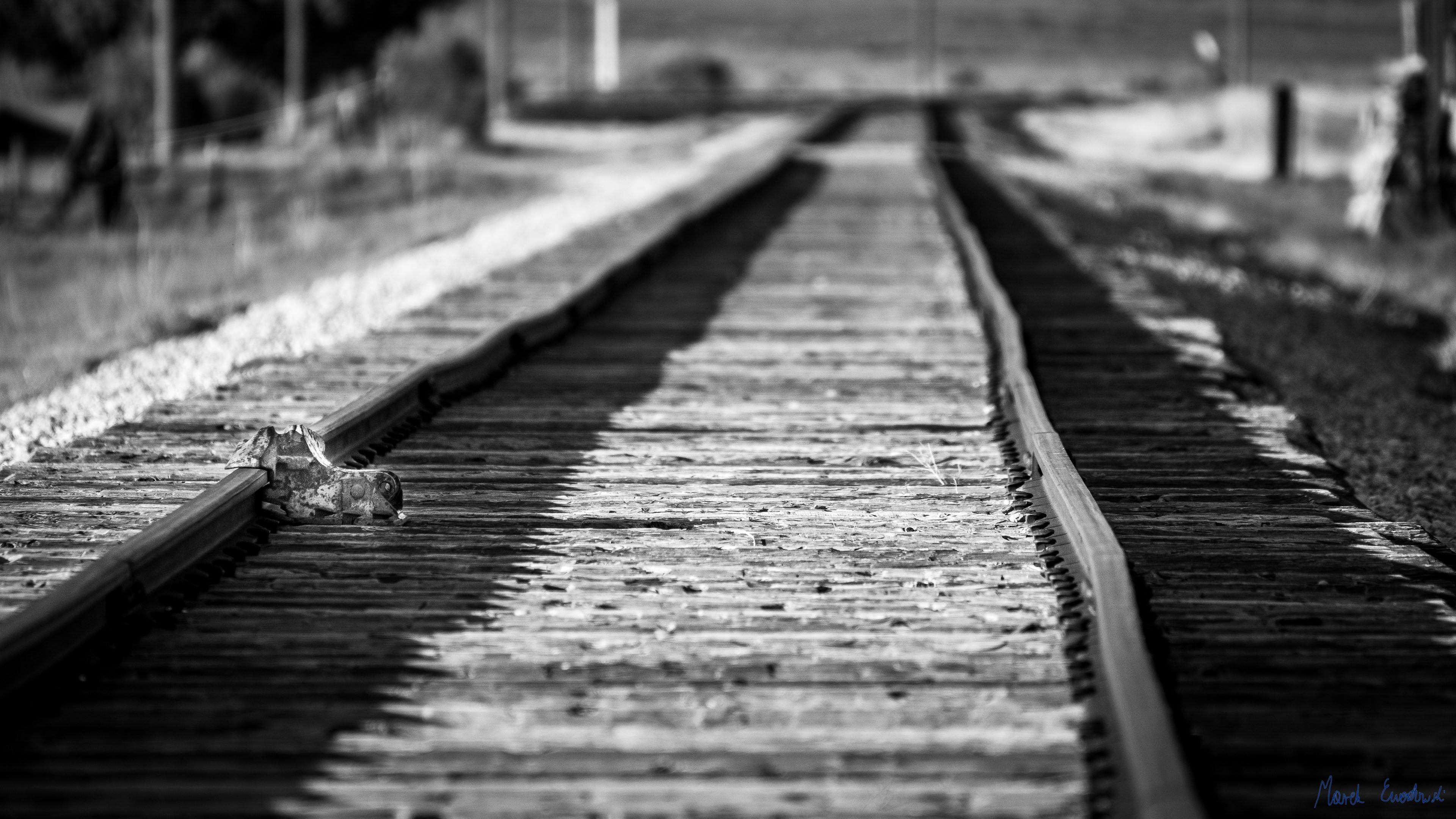 Golden Spike National Historical Park, Utah