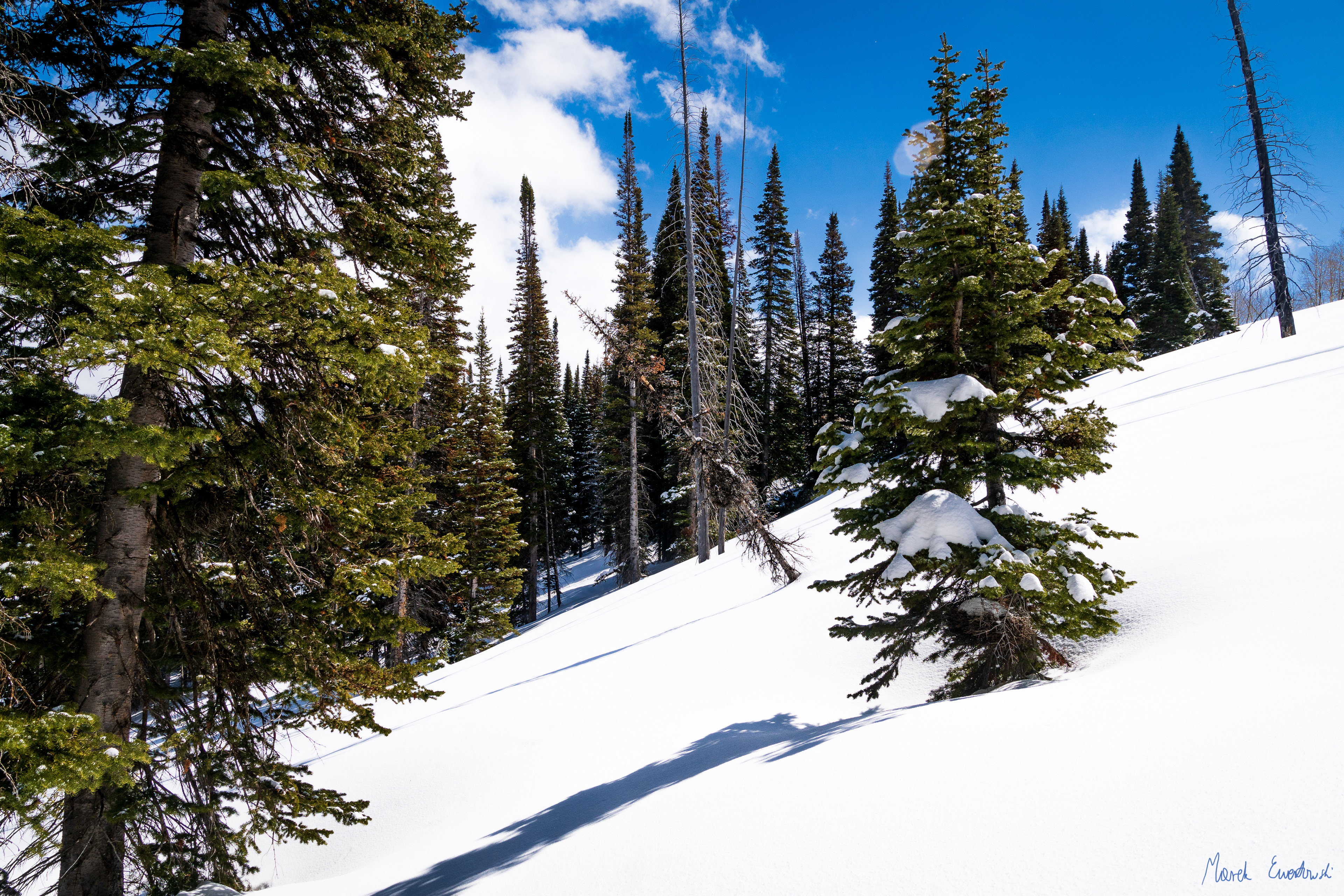 Steam Mill, Bear River Range, Utah