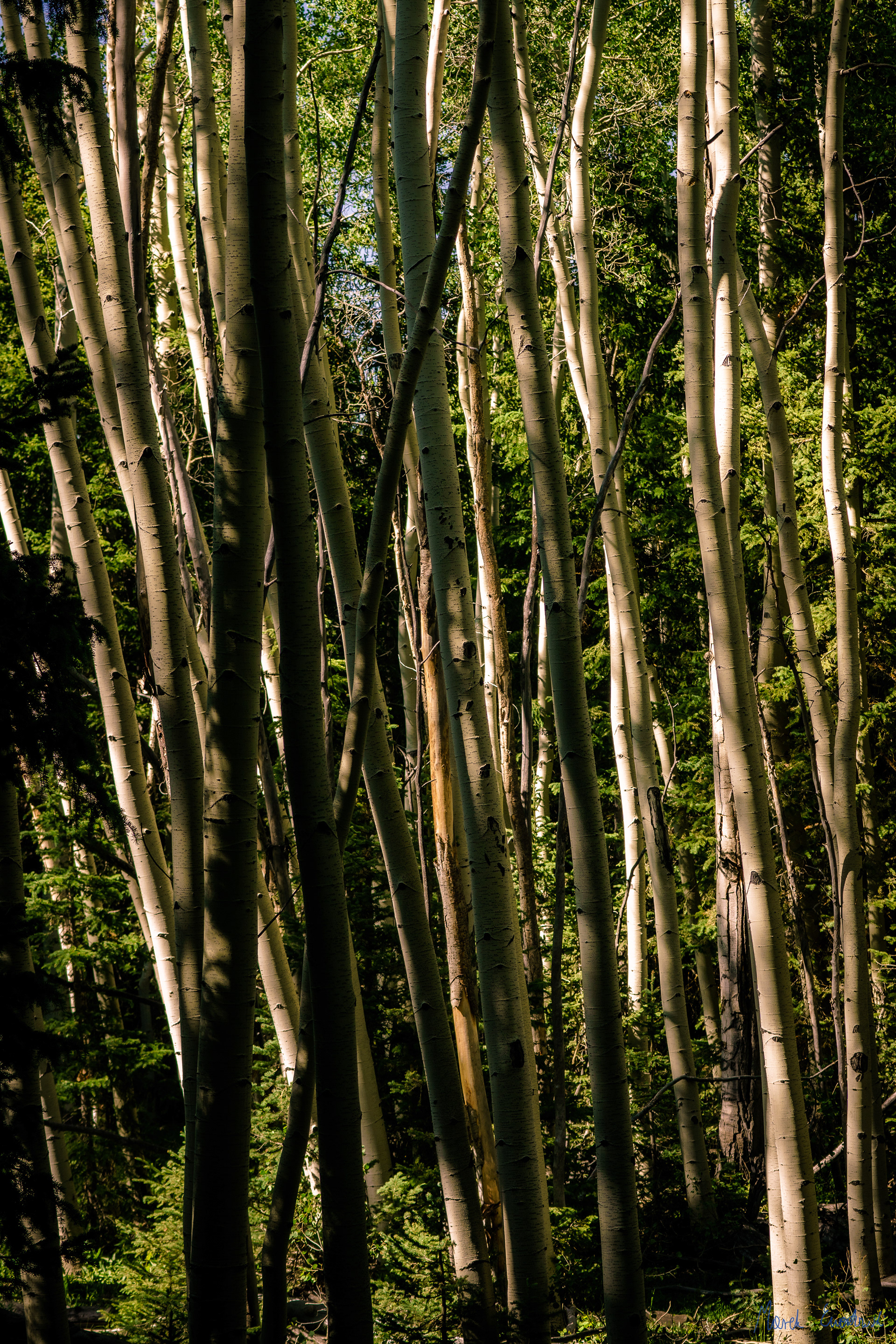 Great Basin National Park, Nevada