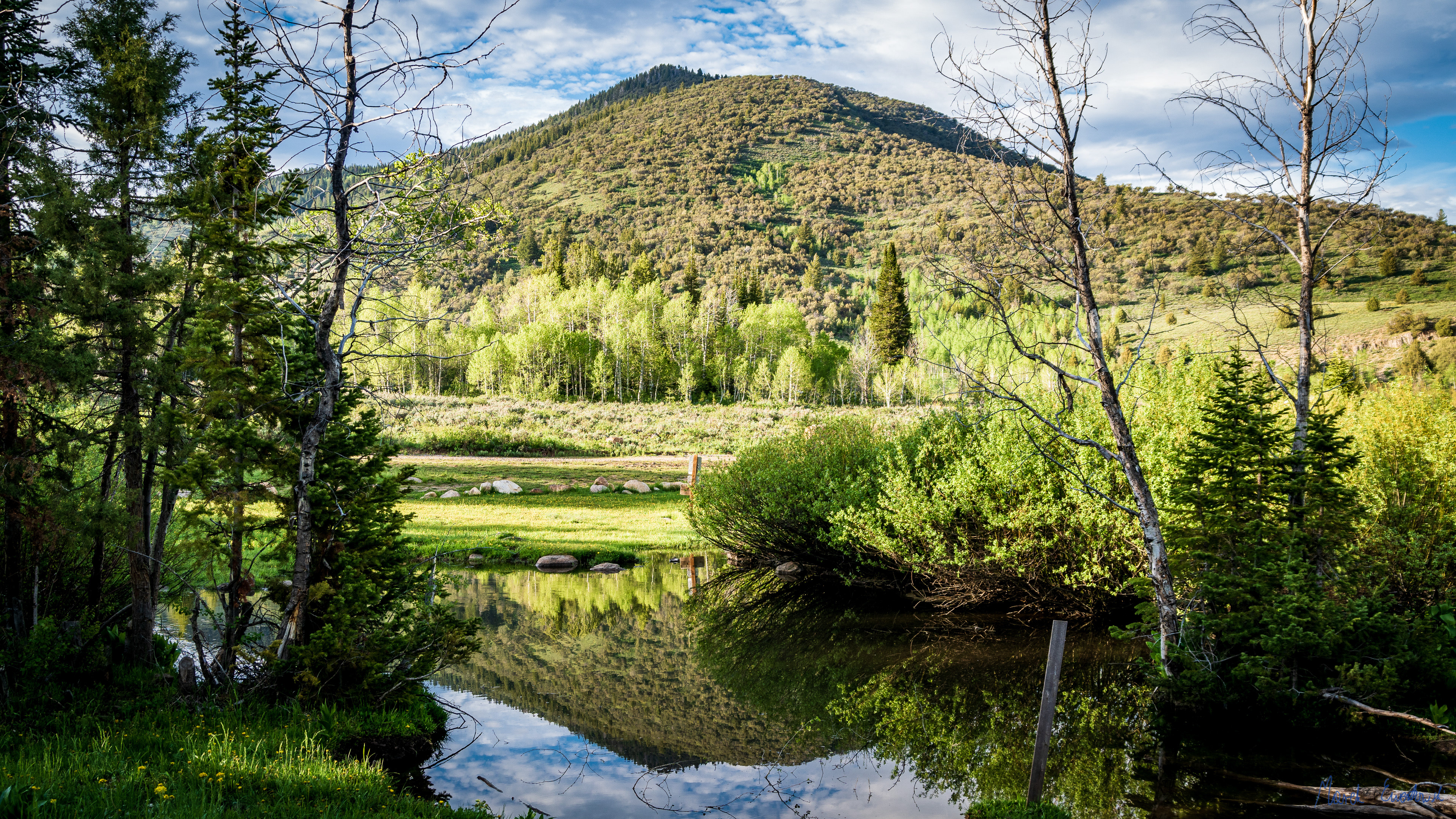 Franklin Basin, Bear River Range, Utah