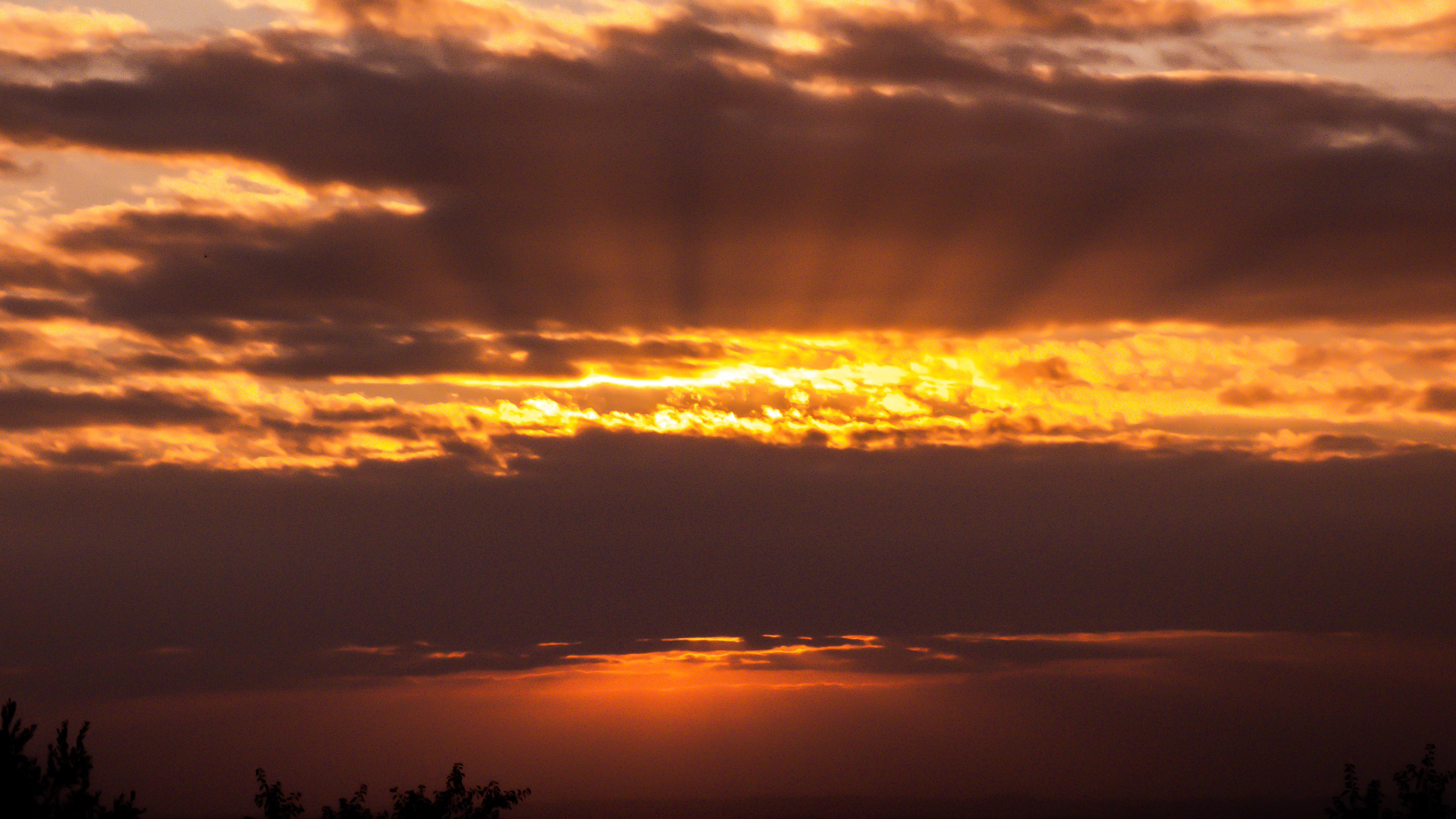 Vosges