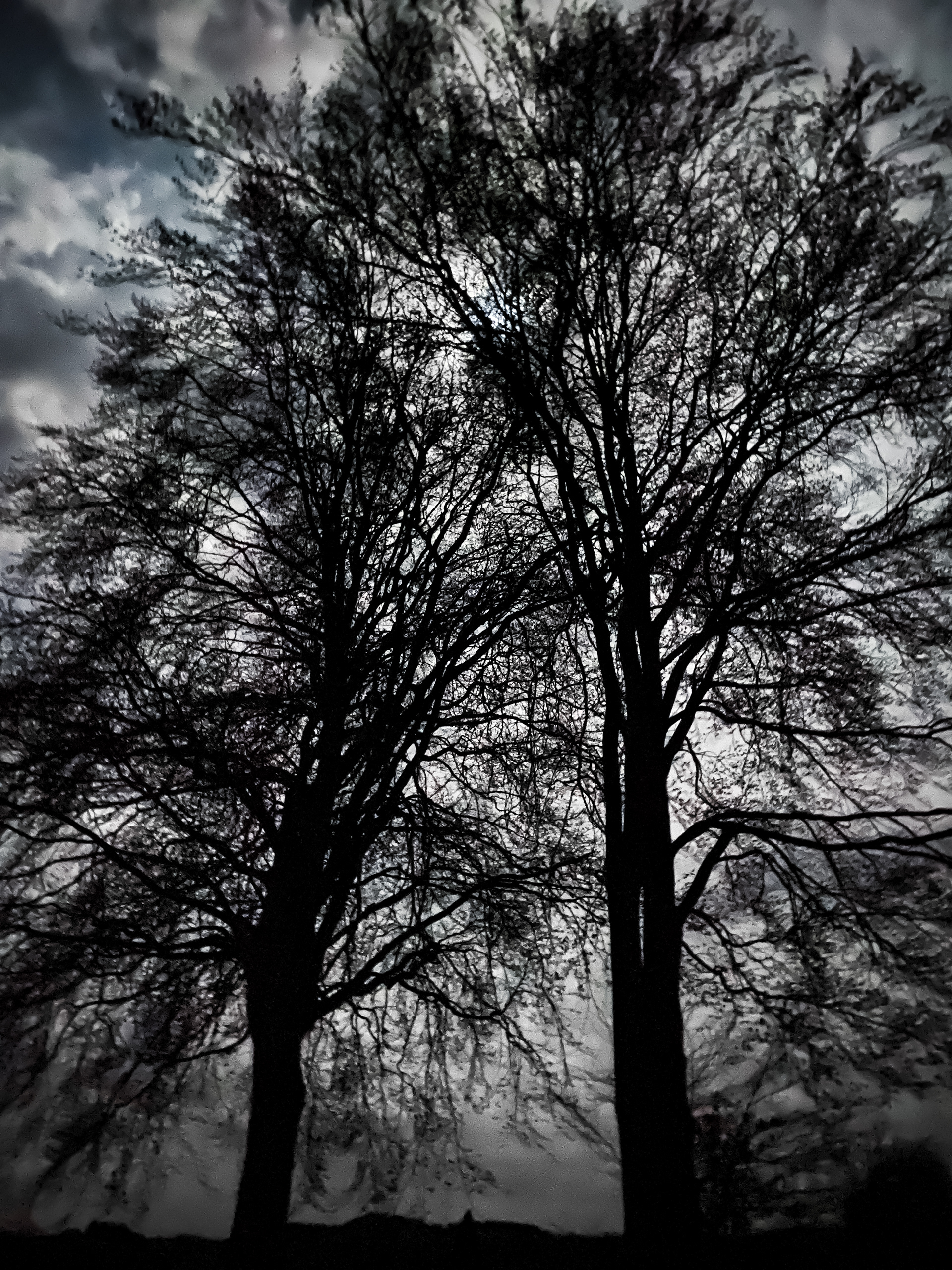 Vosges