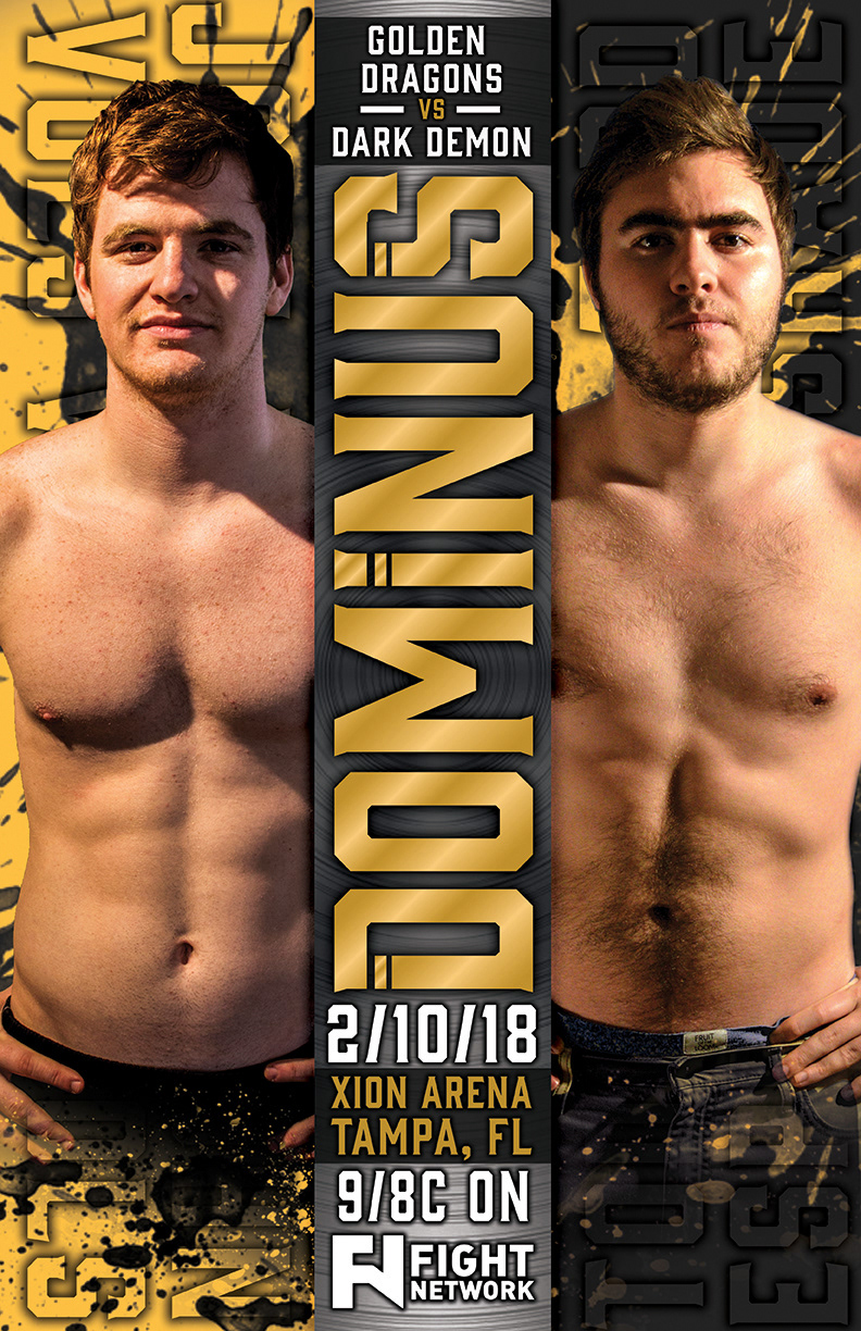 Golden Dragons vs Dark Demon Poster