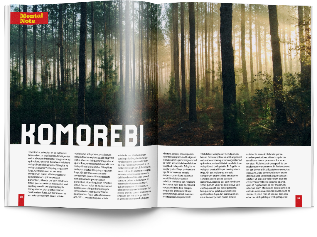 Komorebi article spread