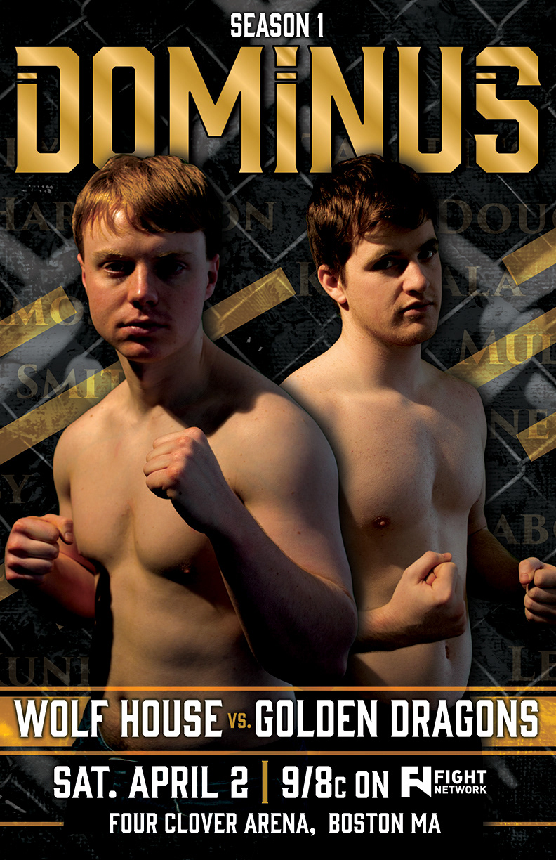 Wolf House vs Golden Dragons I Poster