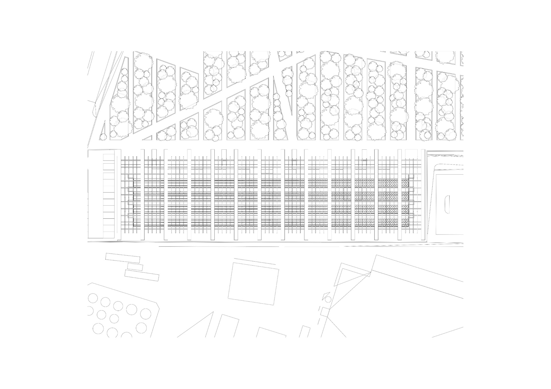 PLAN // 005 (ROOF)