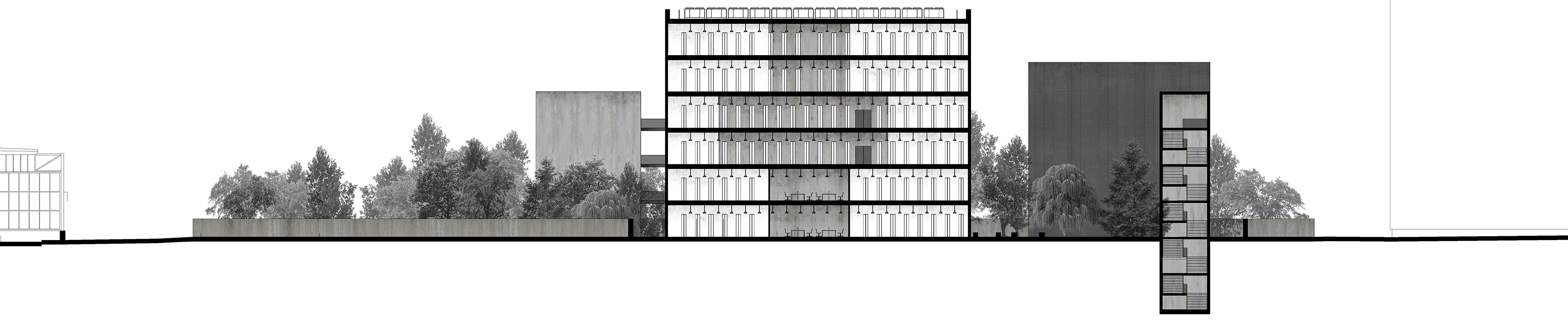 Section BD