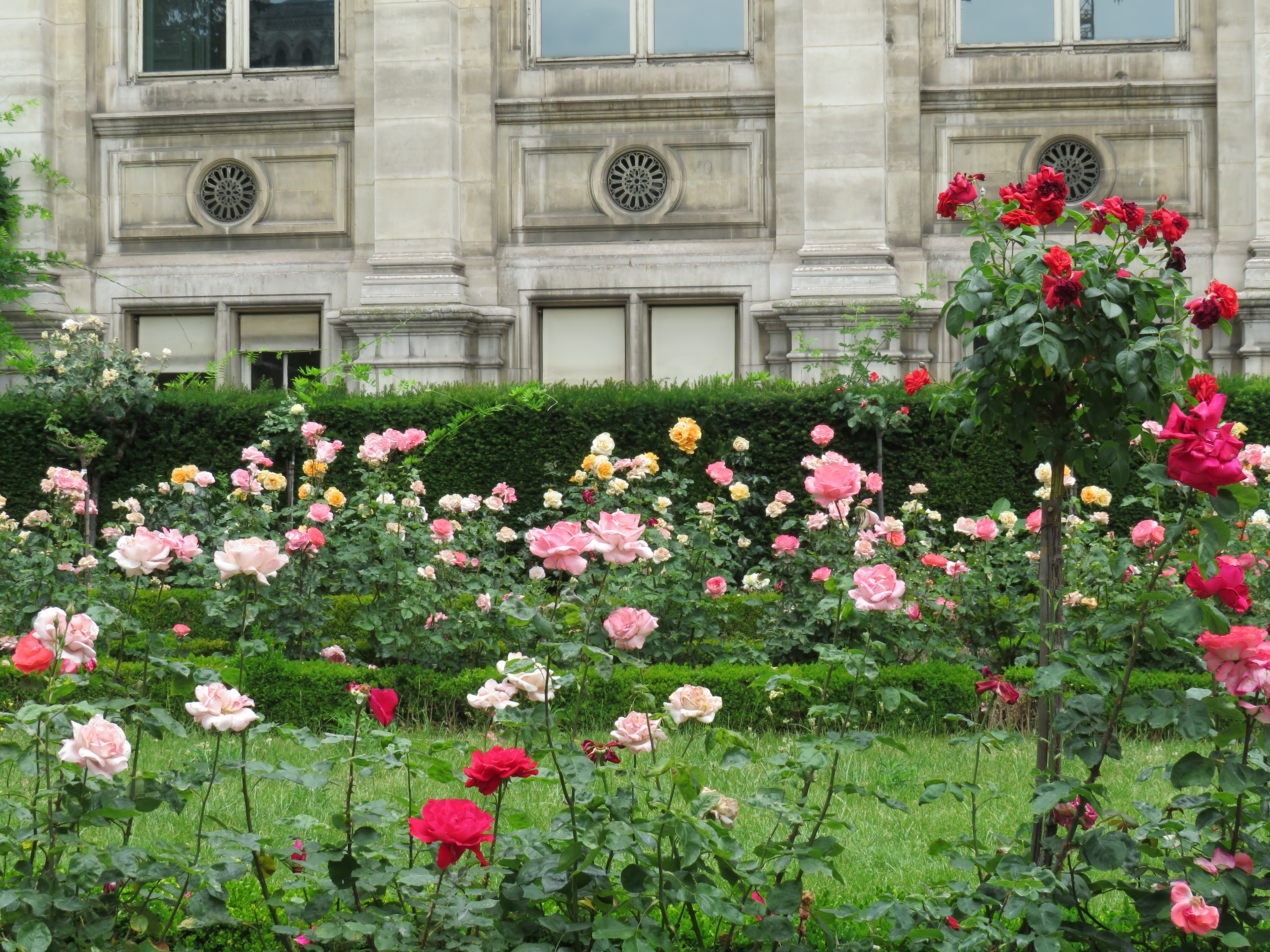 WWII Memorial Garden near Notre Dame
