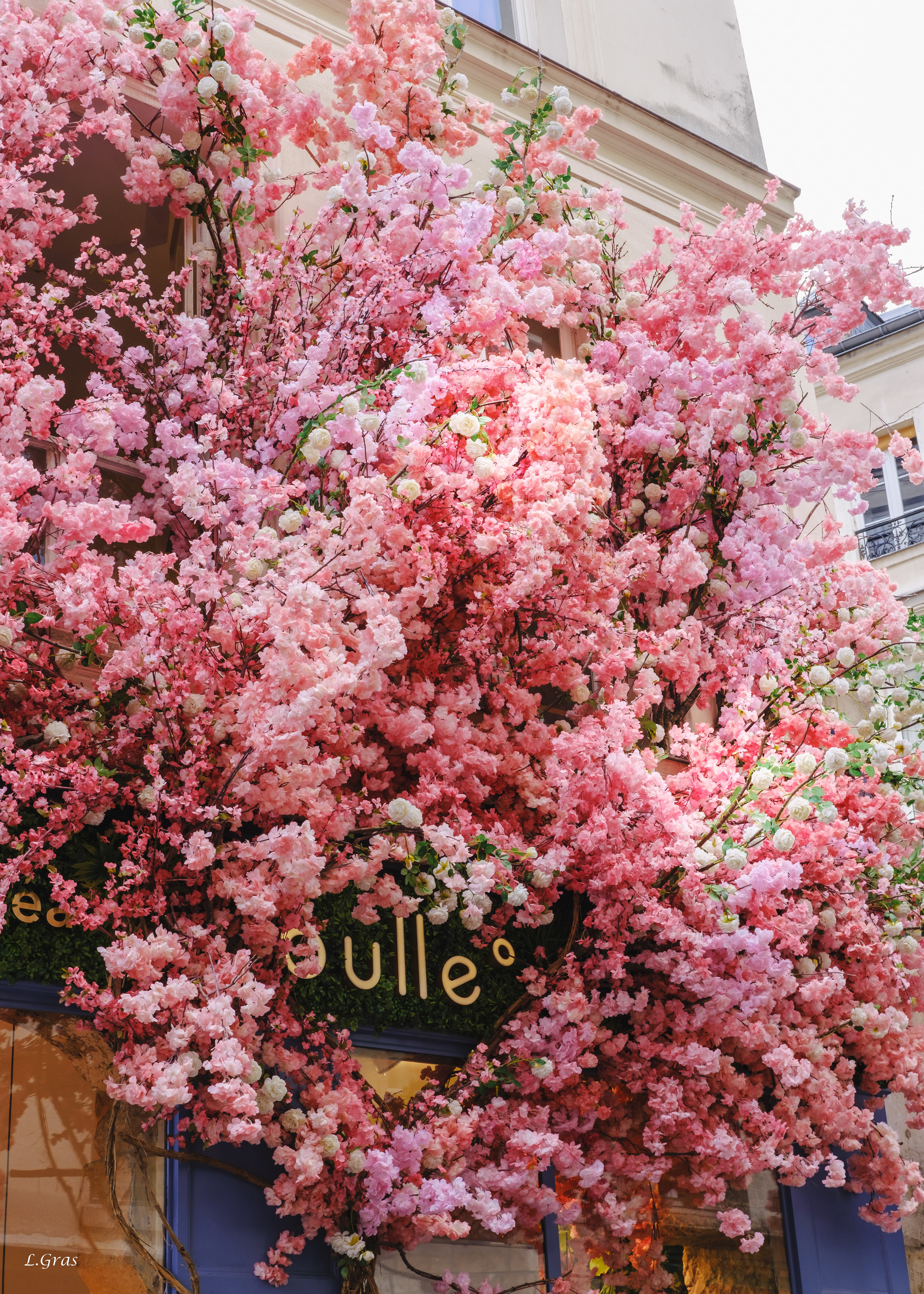 Rue des rosiers