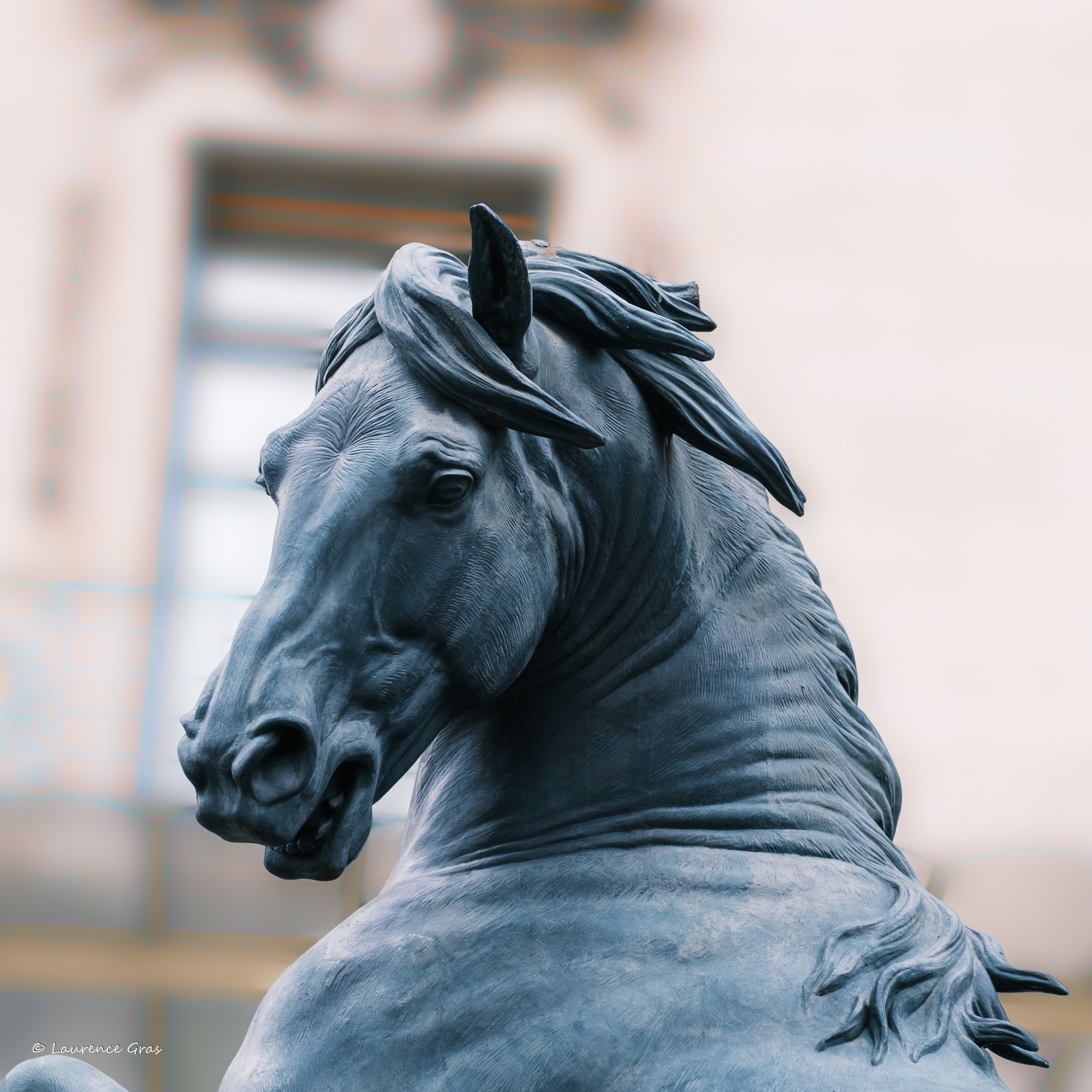 Cheval à la herse de Pierre Rouillard , 1878