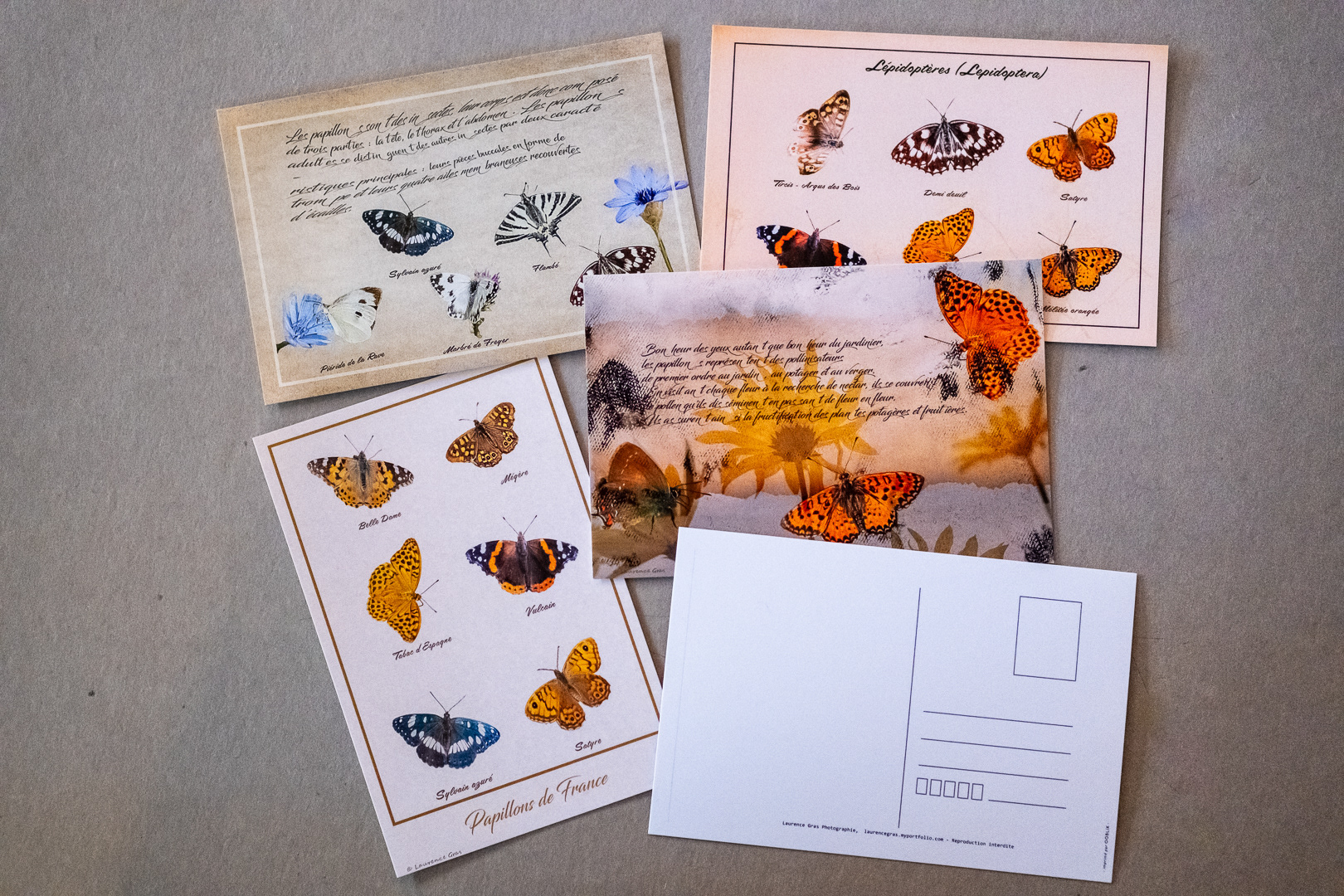 Cartes Postales, Papillons